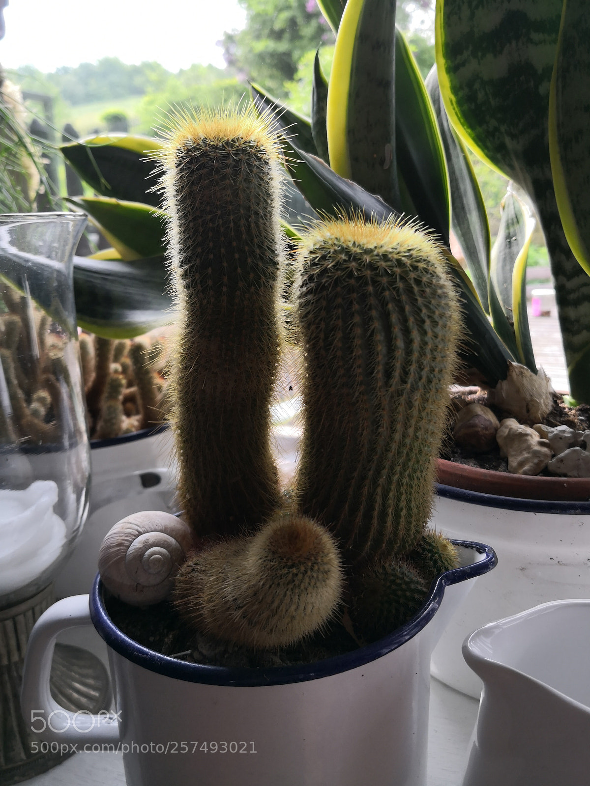 HUAWEI Mate 10 Pro sample photo. Untitled photography