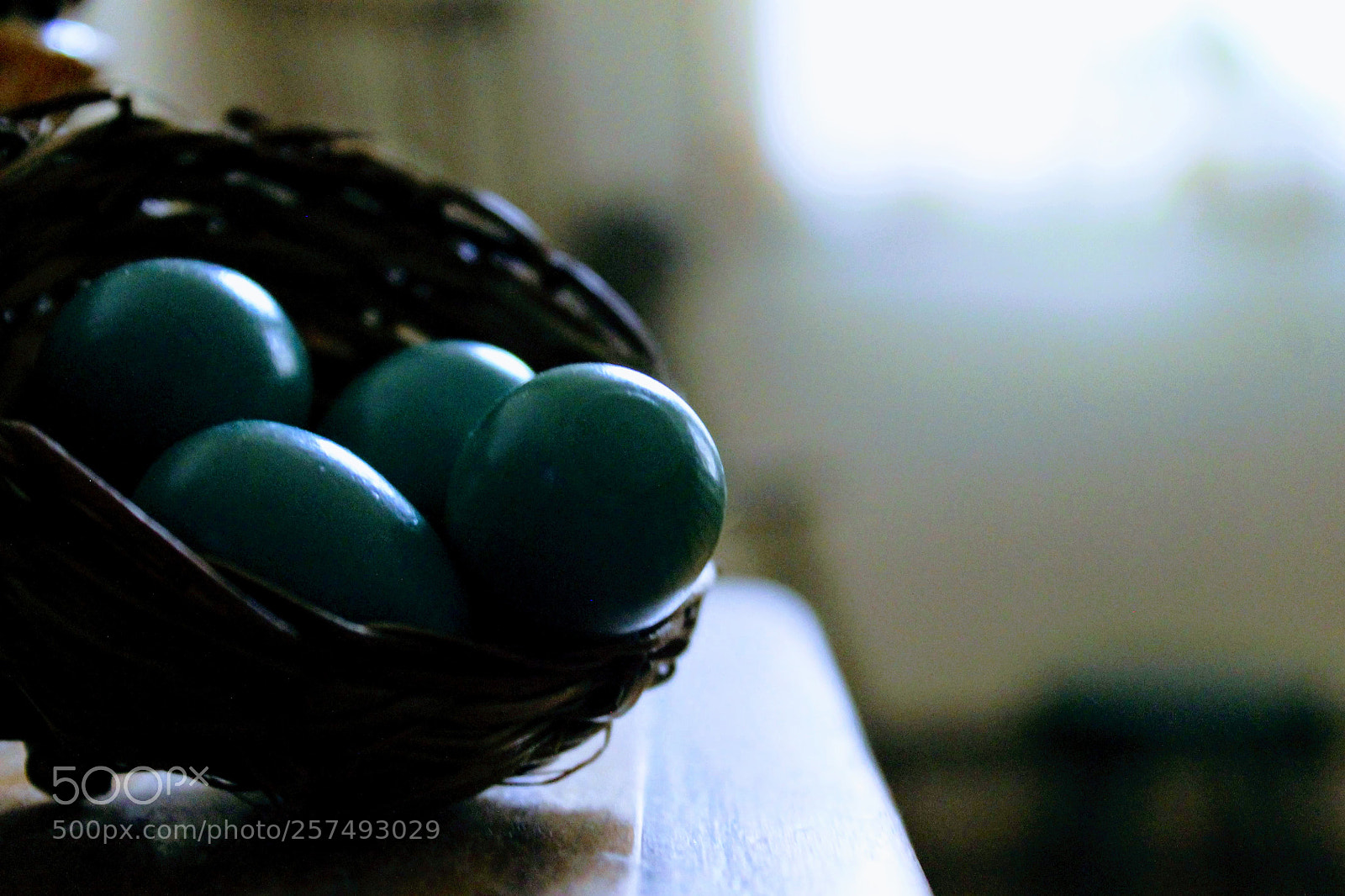 Canon EOS 1100D (EOS Rebel T3 / EOS Kiss X50) sample photo. Life in the balance photography