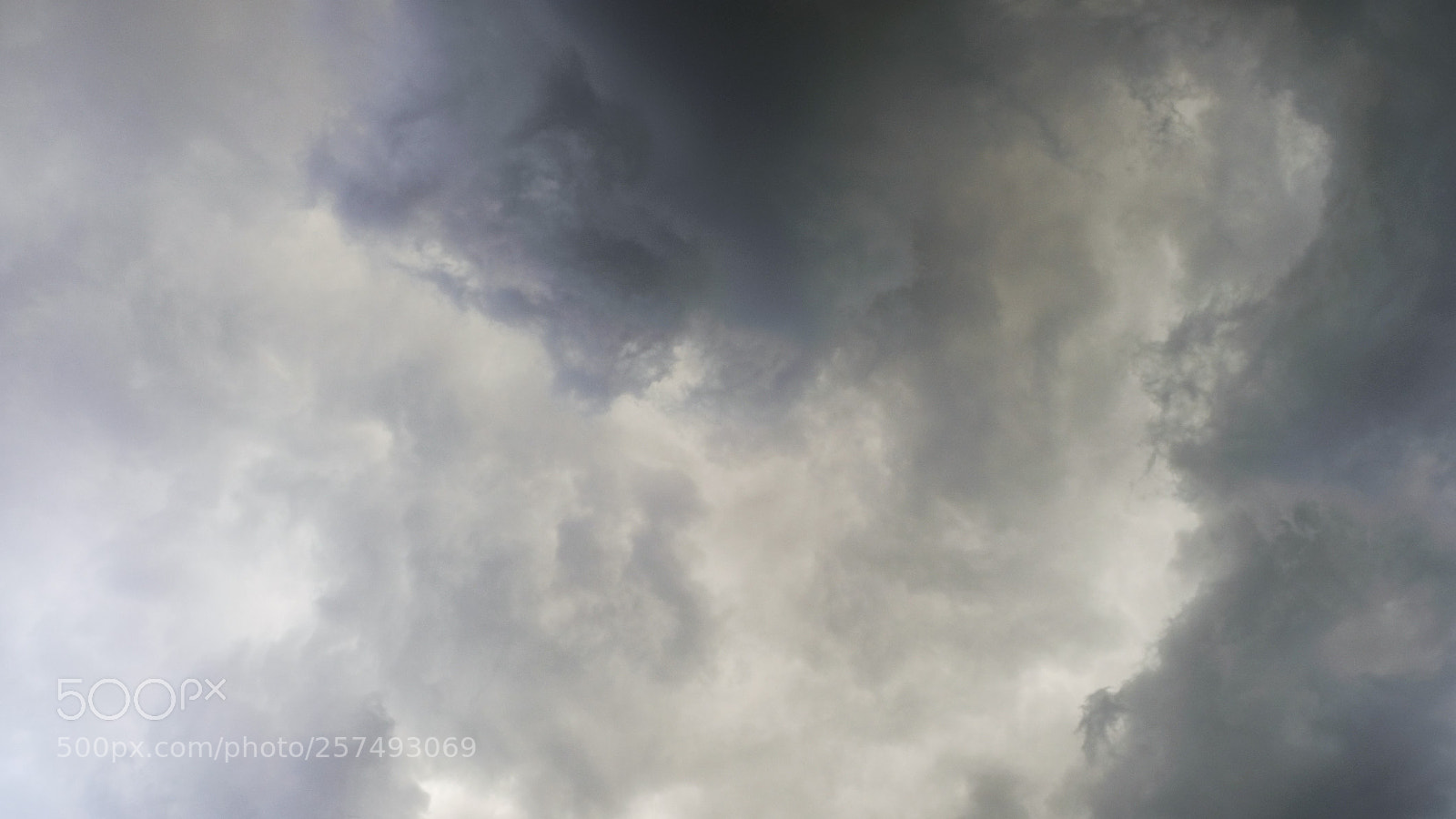 Fujifilm X-T20 sample photo. Untitled photography