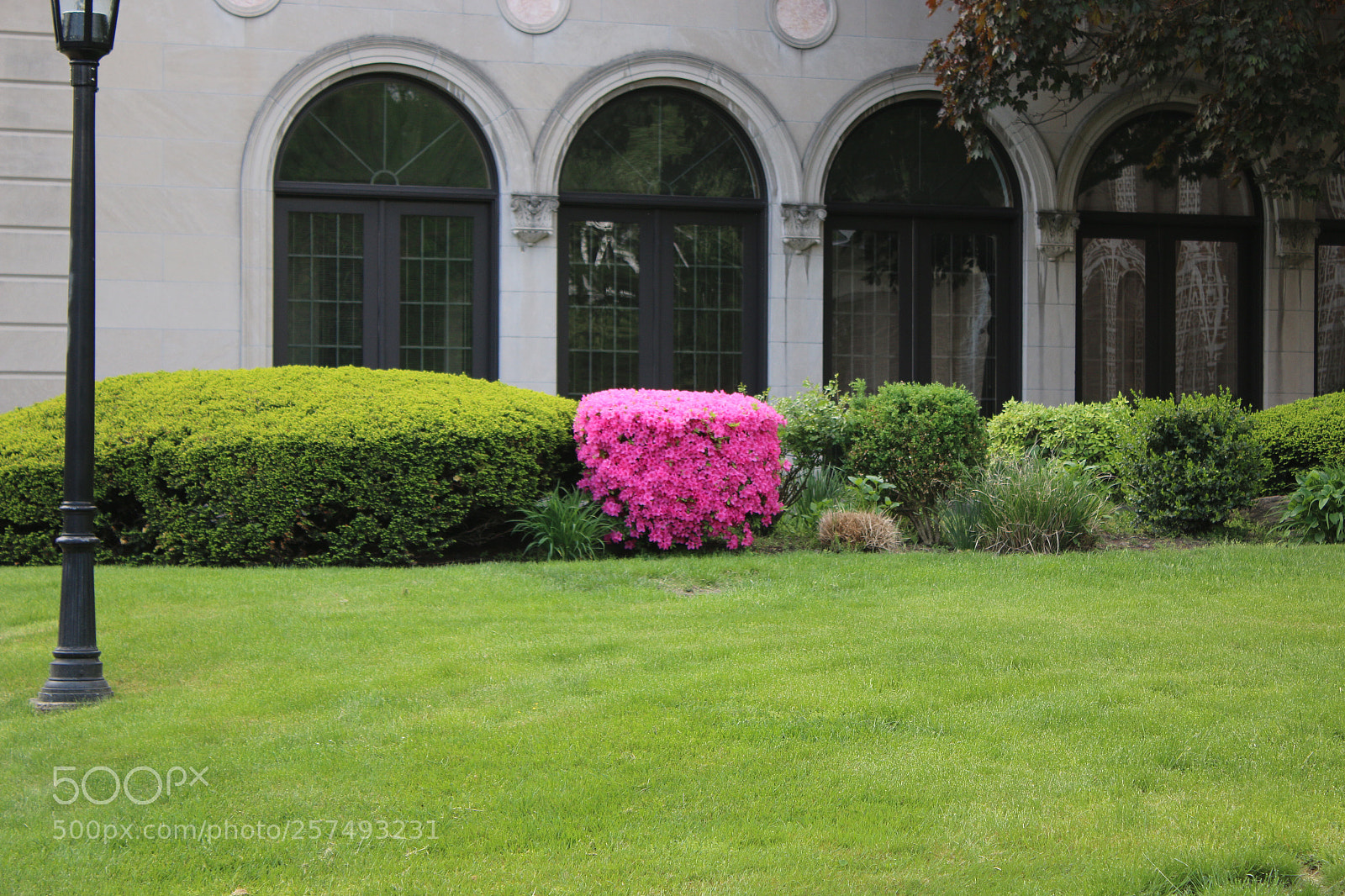 Canon EOS 70D sample photo. Untitled photography