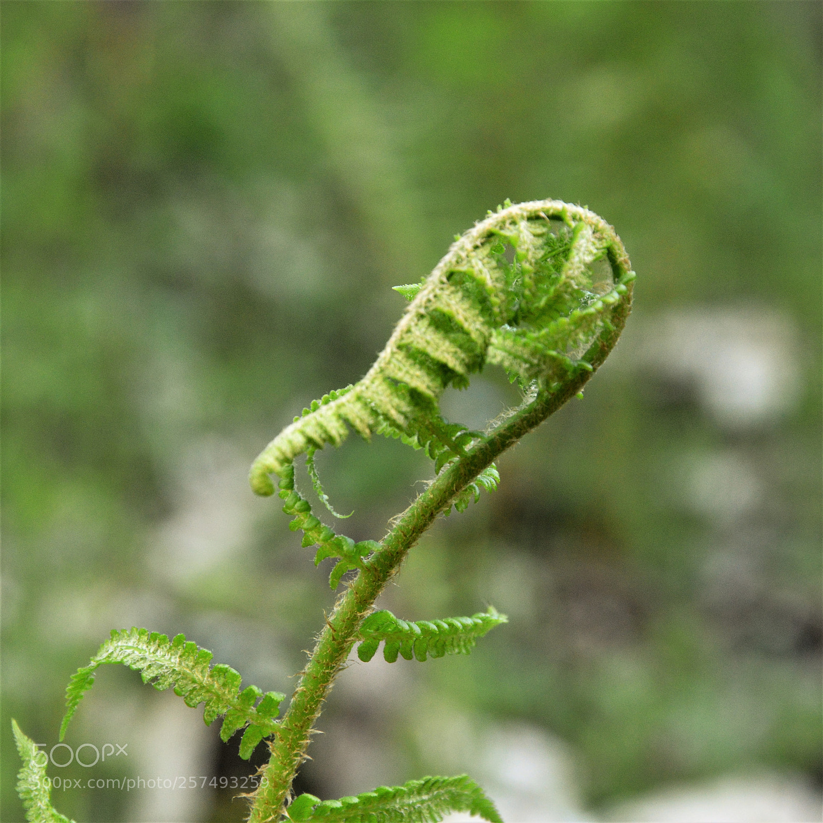 Nikon D3200 sample photo. Untitled photography