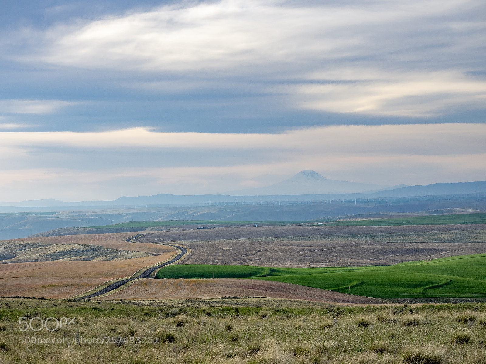 Olympus OM-D E-M1 sample photo. Windmill country photography