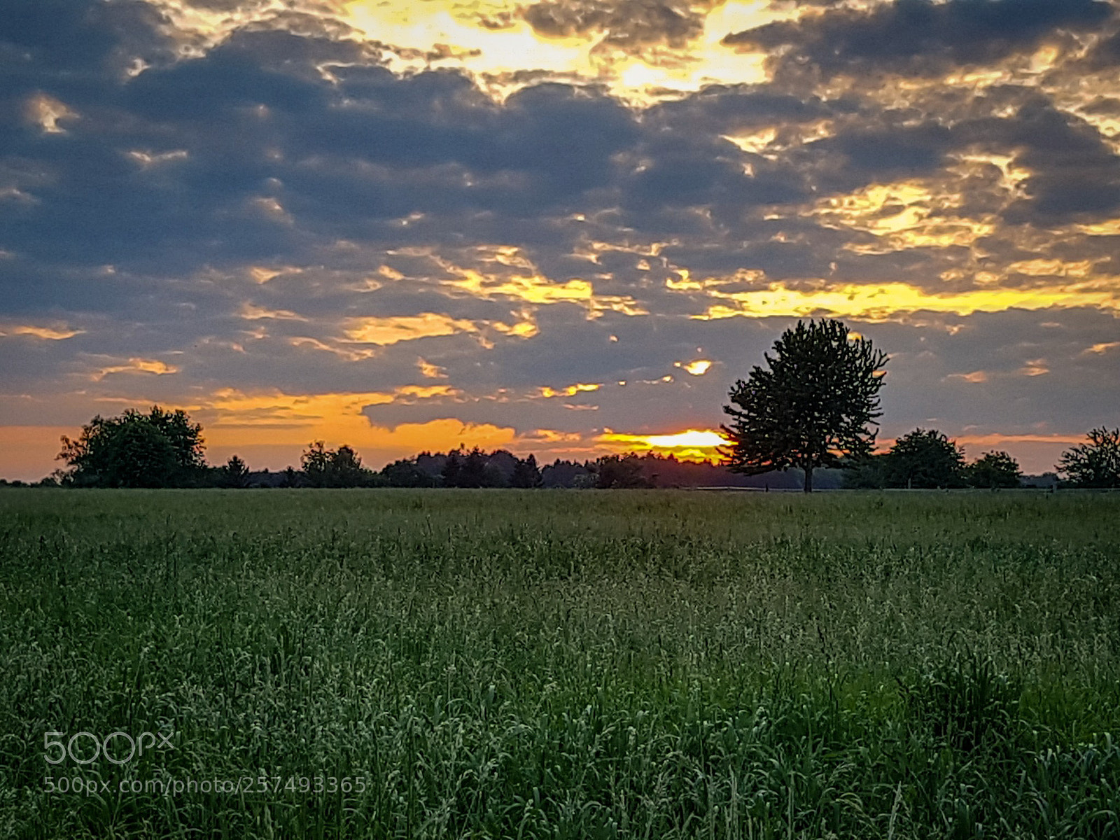 Samsung Galaxy S7 sample photo. Untitled photography