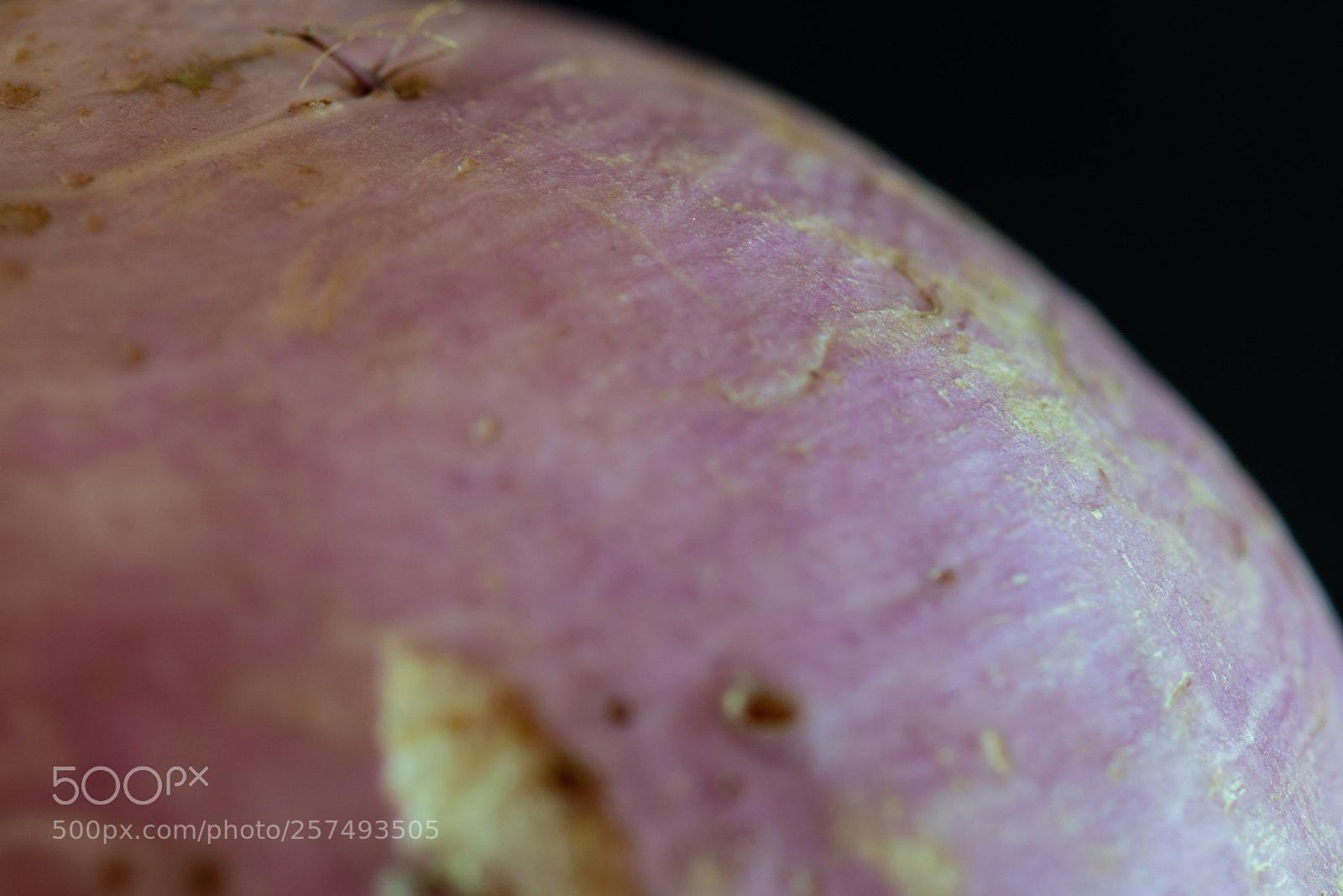 Nikon D5300 sample photo. Planet onion photography