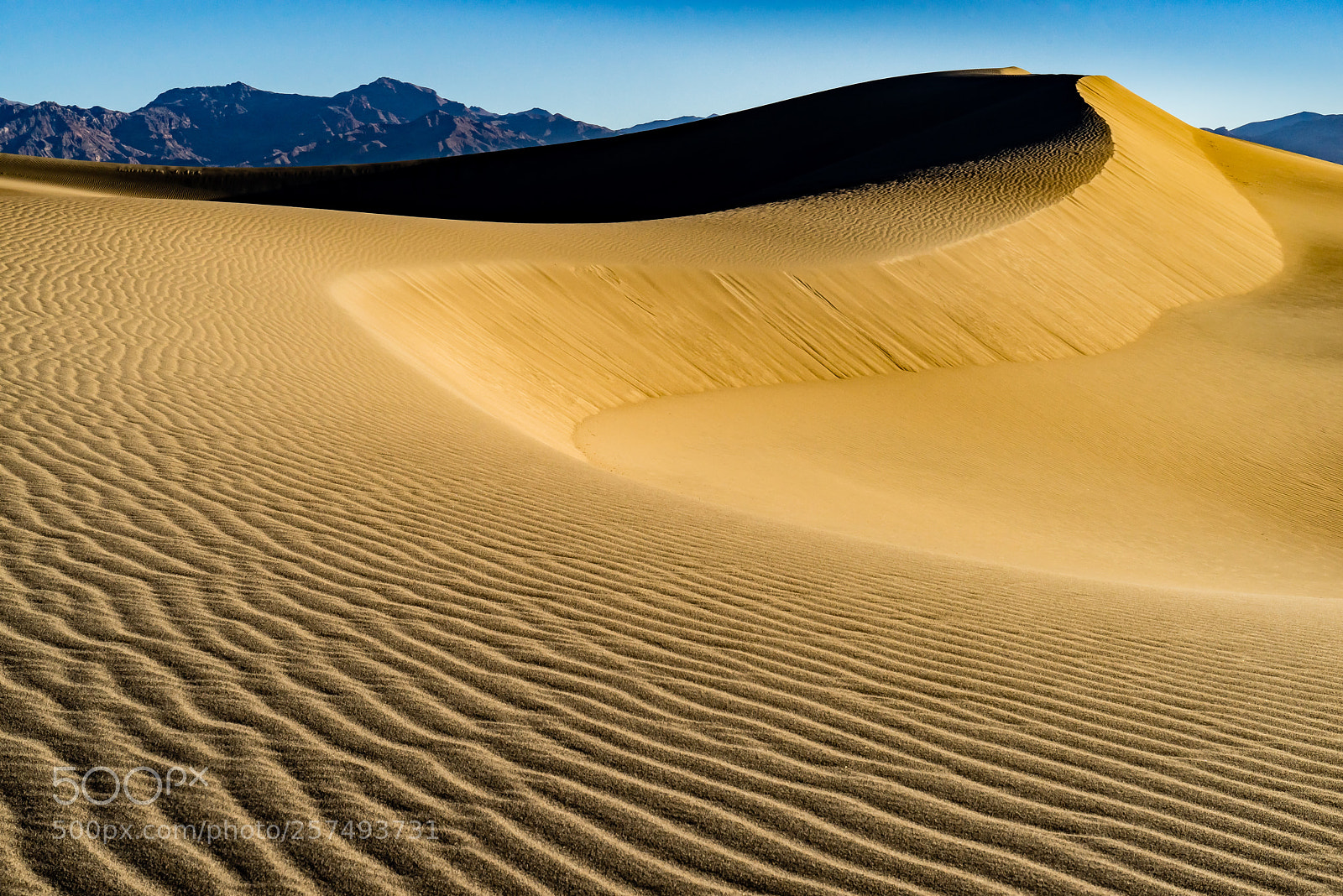 Sony a7R sample photo. Death valley sand dunes photography
