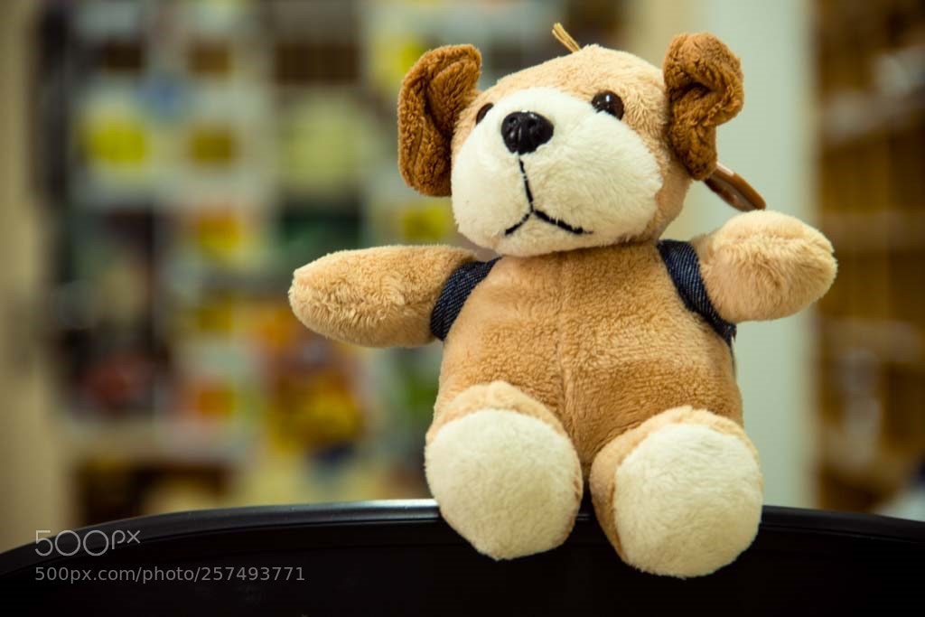 Canon EOS 700D (EOS Rebel T5i / EOS Kiss X7i) sample photo. Urso! photography