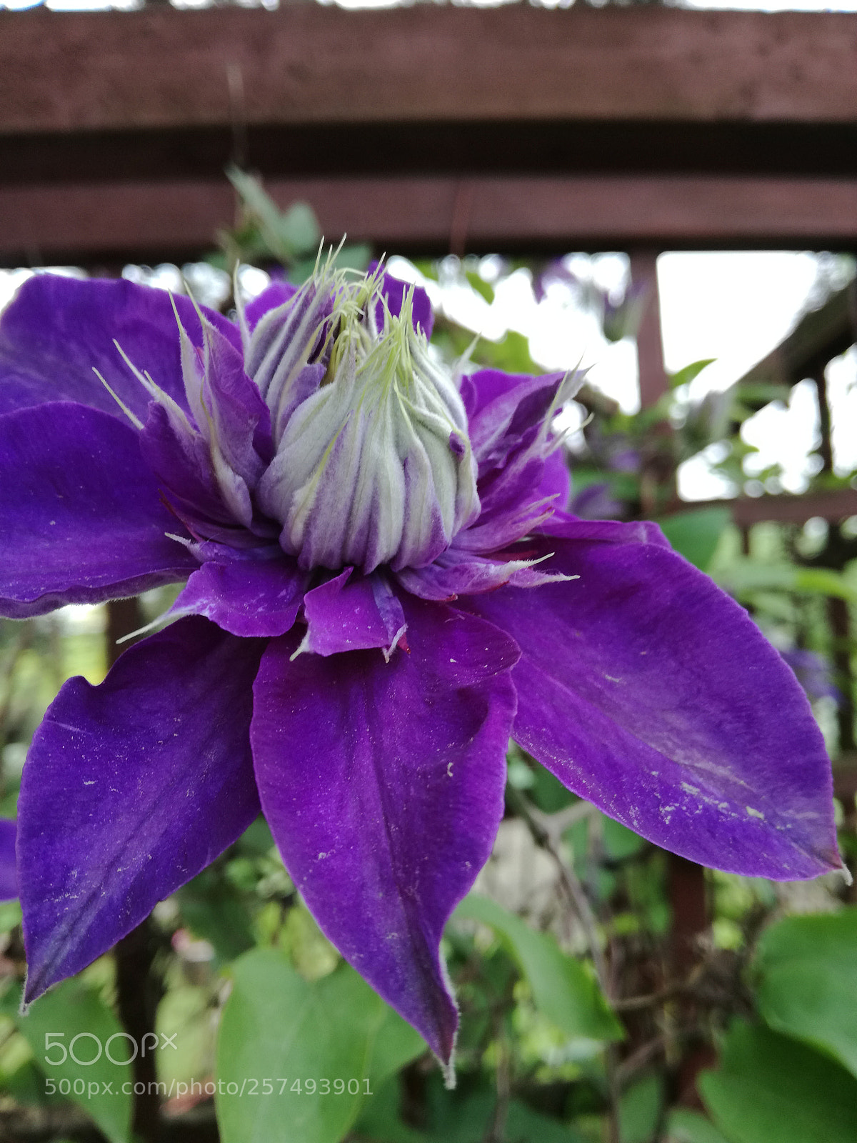 HUAWEI P9 LITE sample photo. Bty photography