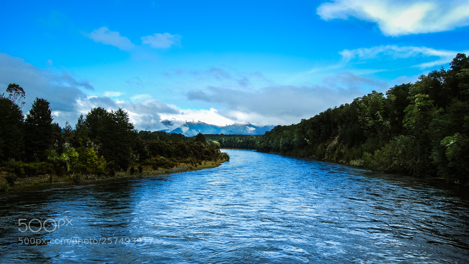 Nikon D40X sample photo. River to the new photography