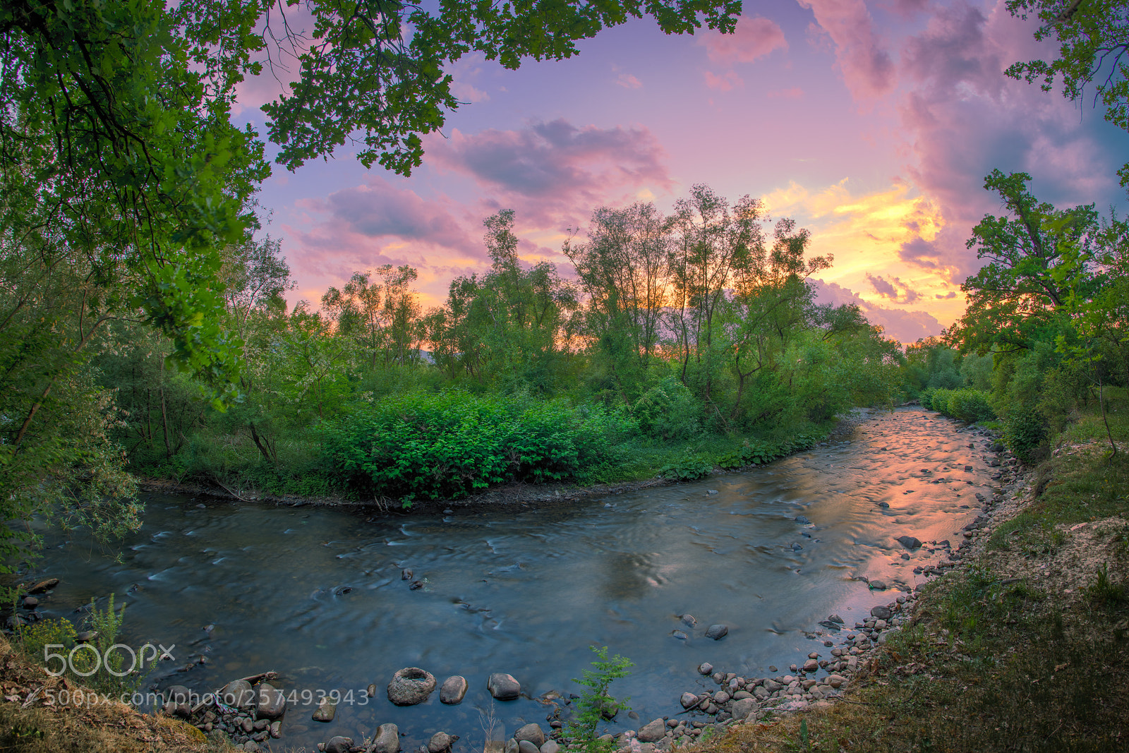 Nikon D850 sample photo. Magic evening photography