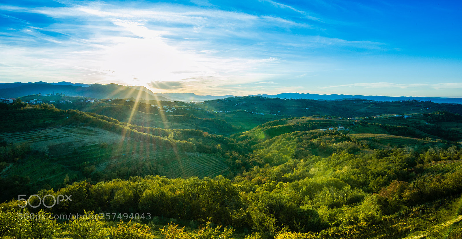 Nikon D700 sample photo. Goriška brda photography