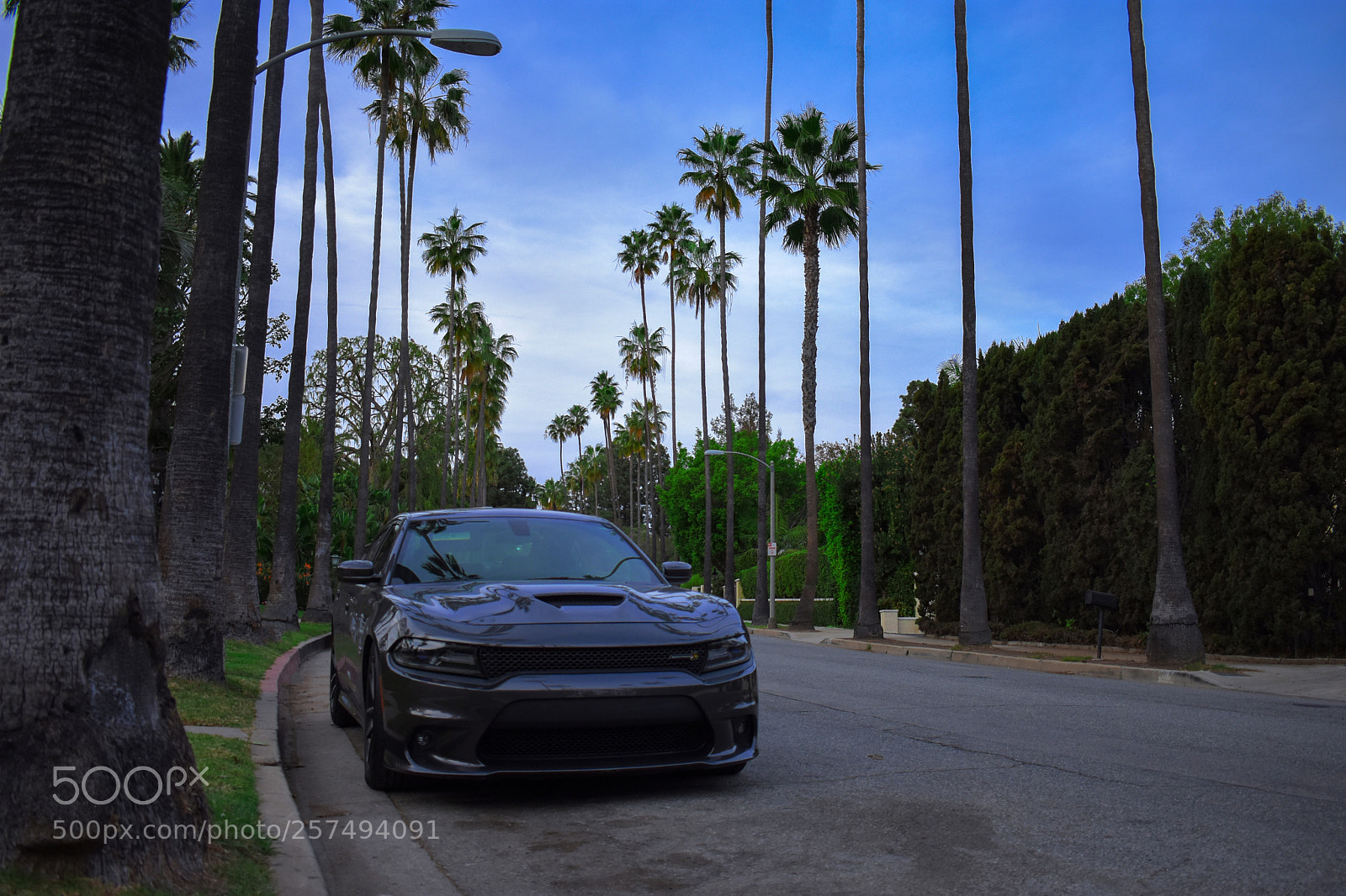 Nikon D3400 sample photo. American muscle photography