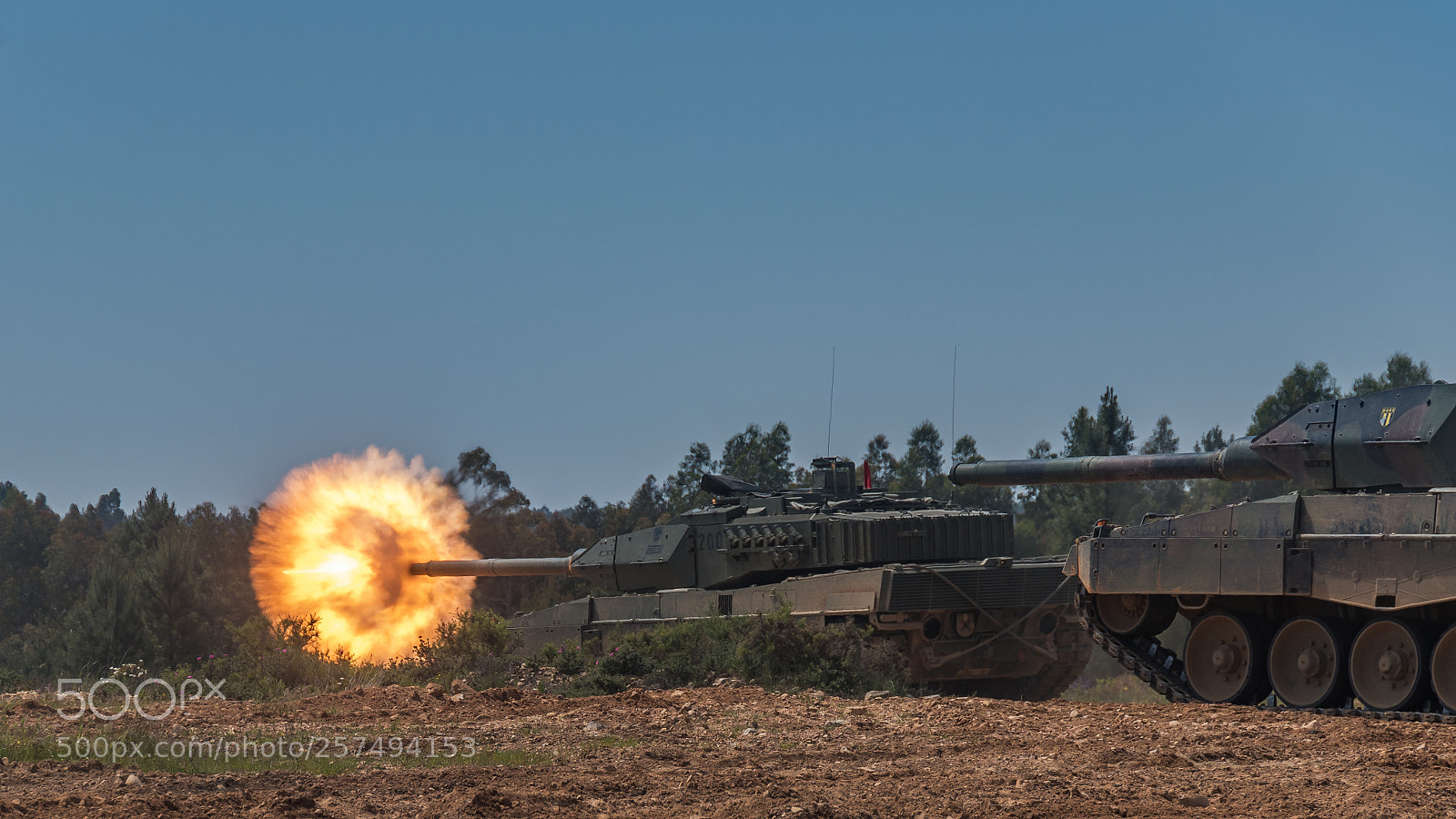 Nikon D500 sample photo. Fire! photography