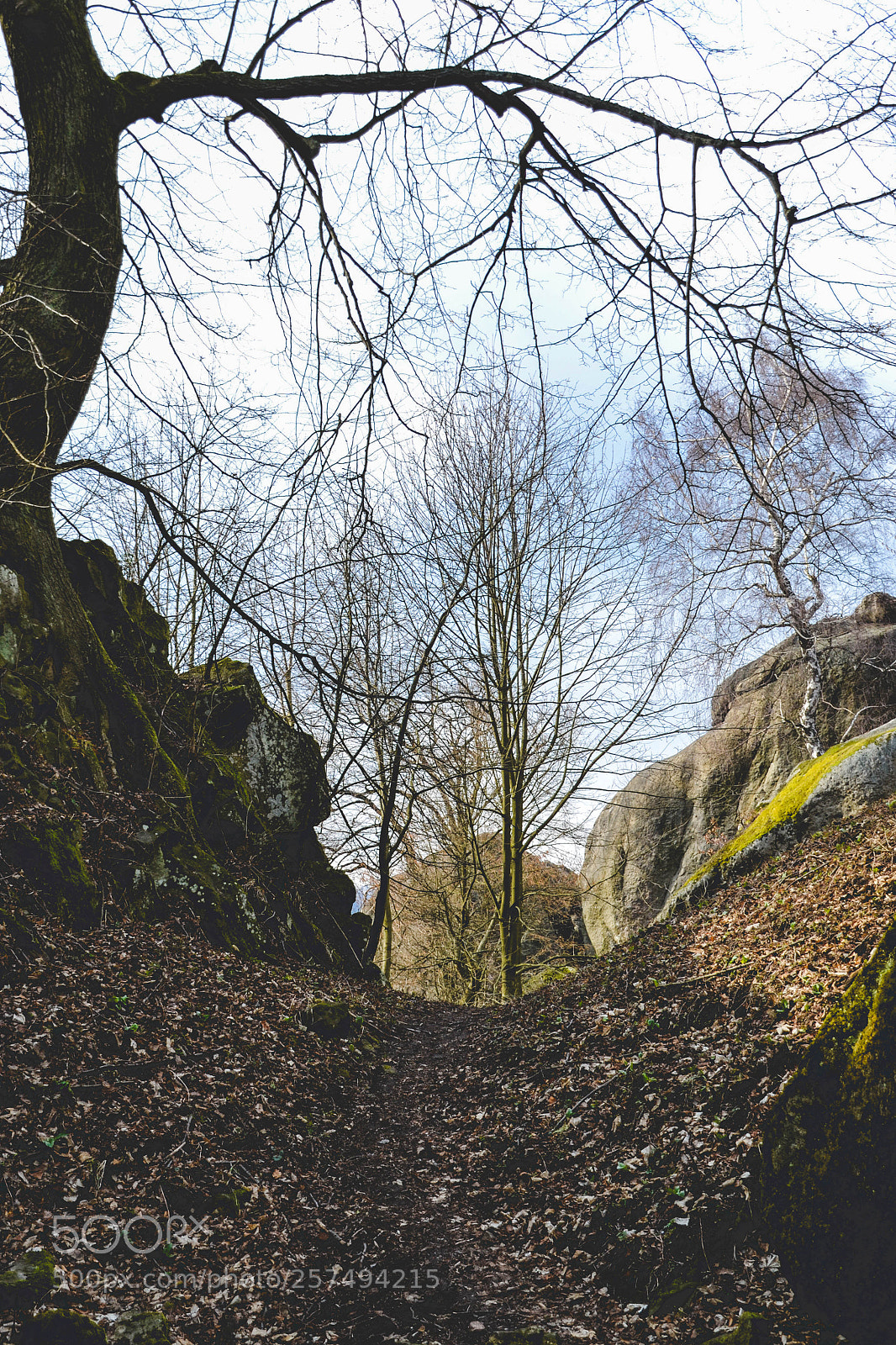 Nikon D3100 sample photo. Rocky passage photography