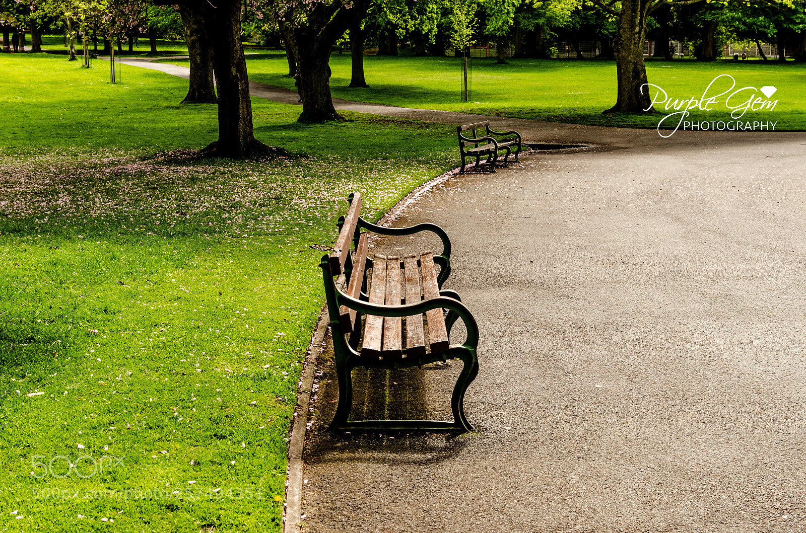 Nikon D7000 sample photo. A simple bench photography