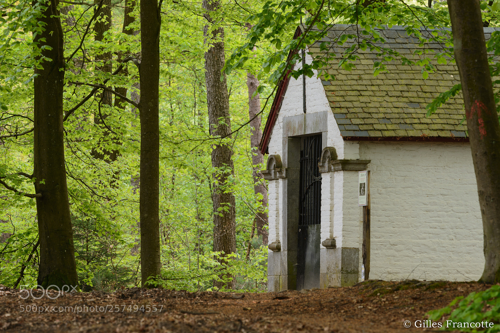 Nikon D800 sample photo. Hidden chapel in the photography