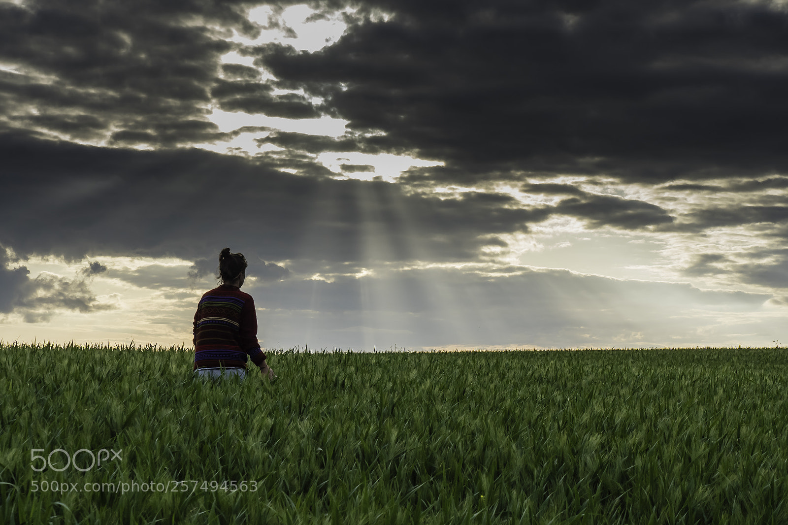 Panasonic Lumix DMC-GX8 sample photo. Walk through the fields photography