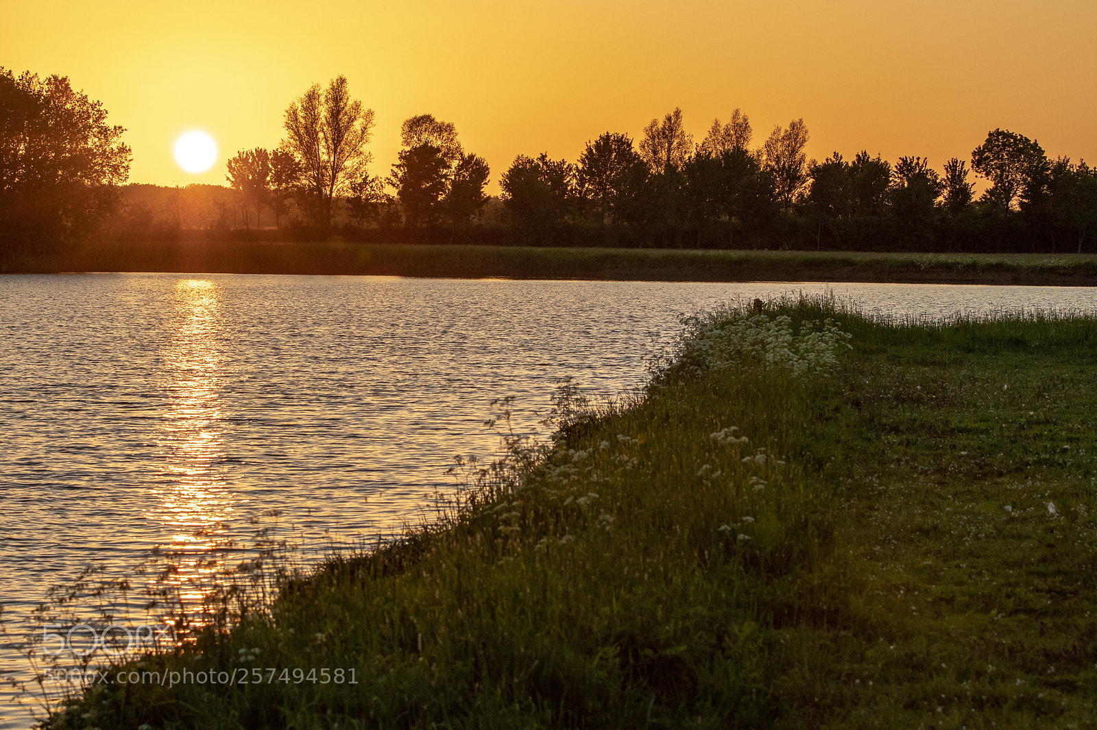 Canon EOS 77D (EOS 9000D / EOS 770D) sample photo. Going down with flare photography