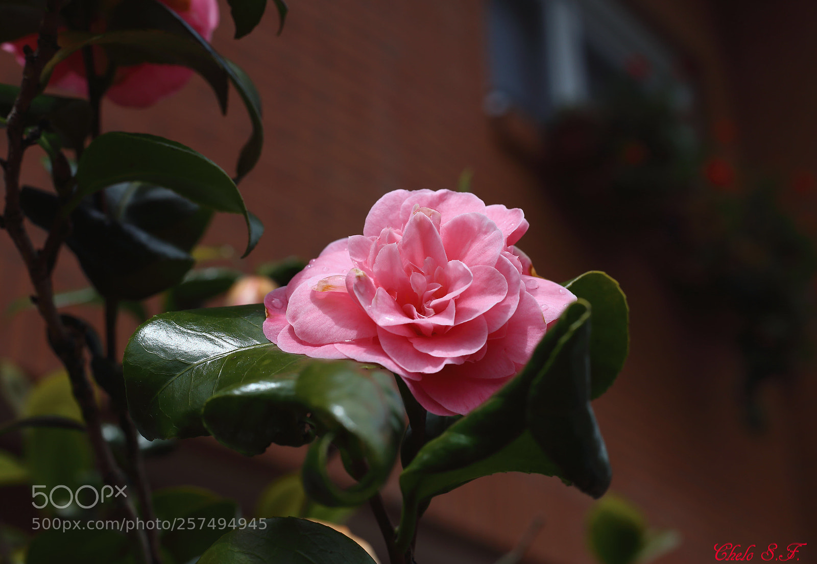 Canon EOS 6D sample photo. Untitled photography