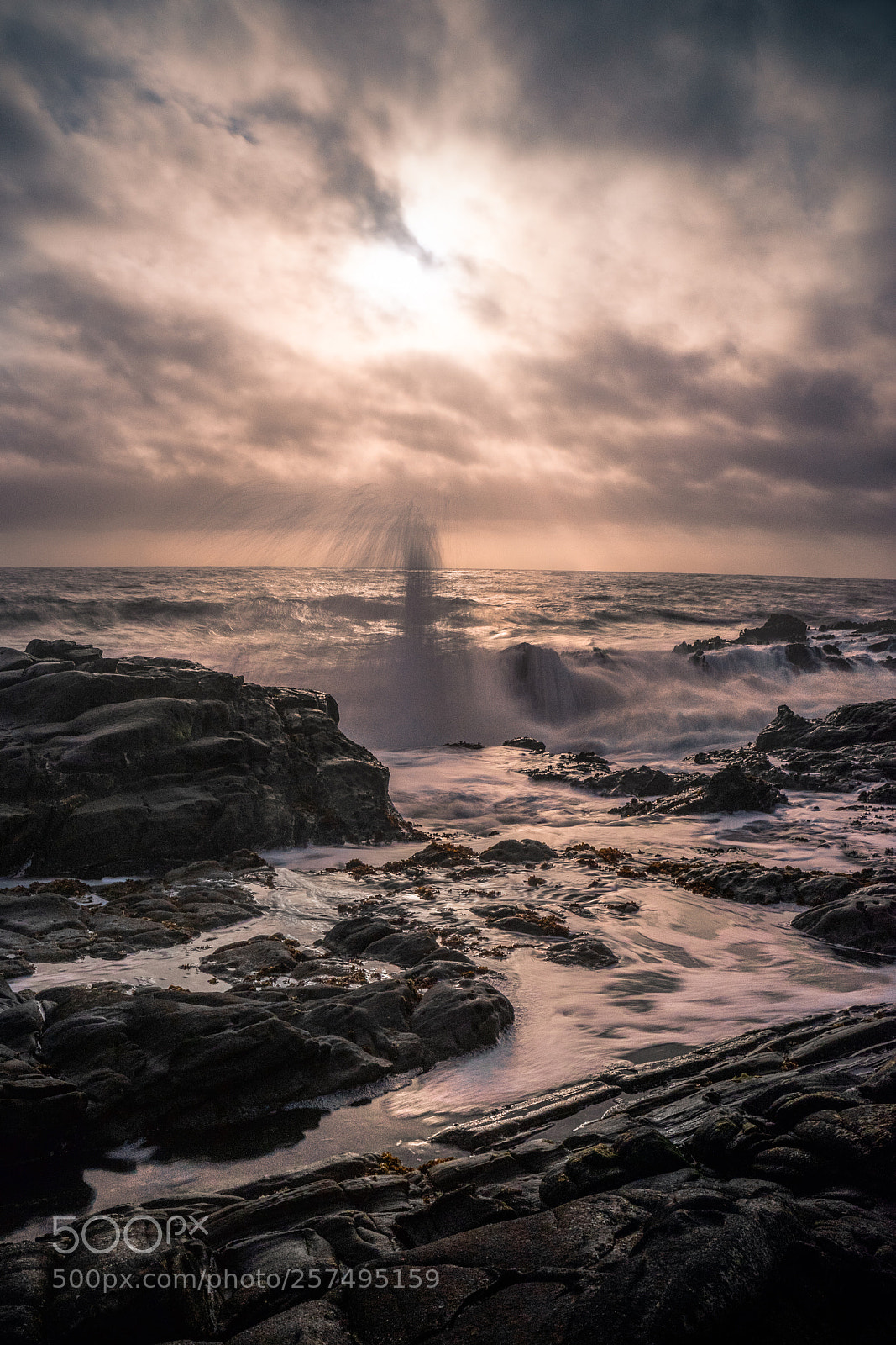 Sony a7 II sample photo. Tafoni photography