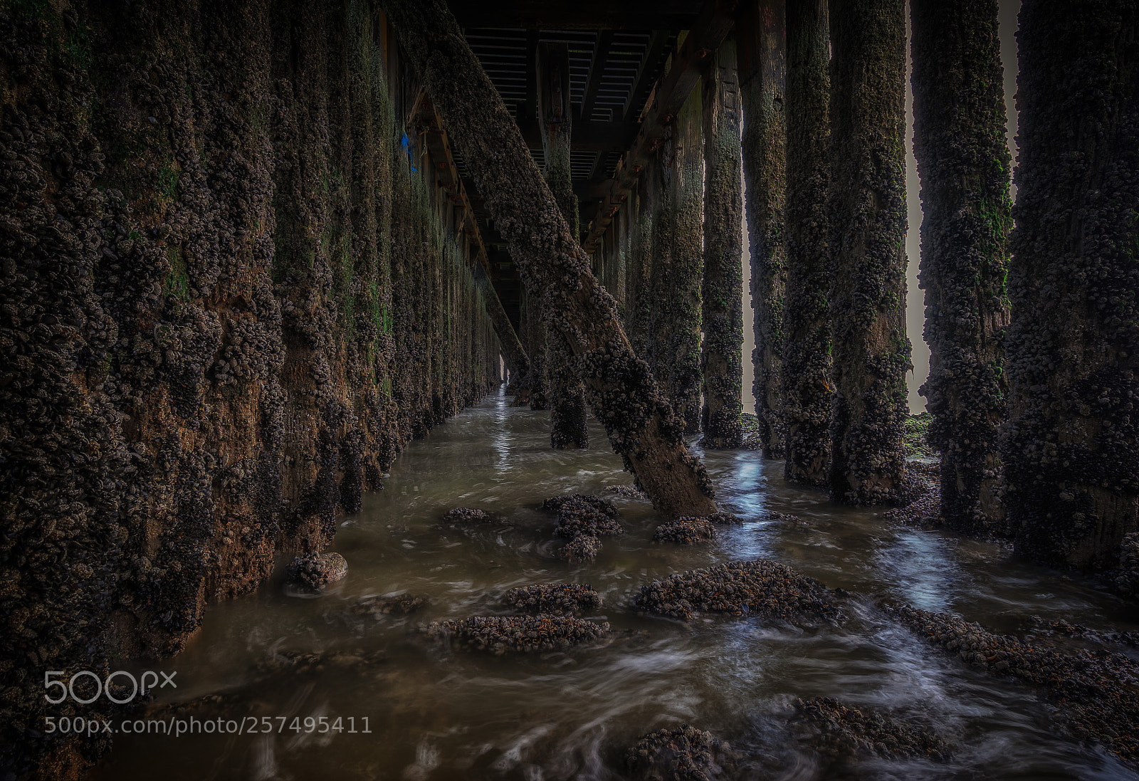 Sony a7 II sample photo. Under the pier photography