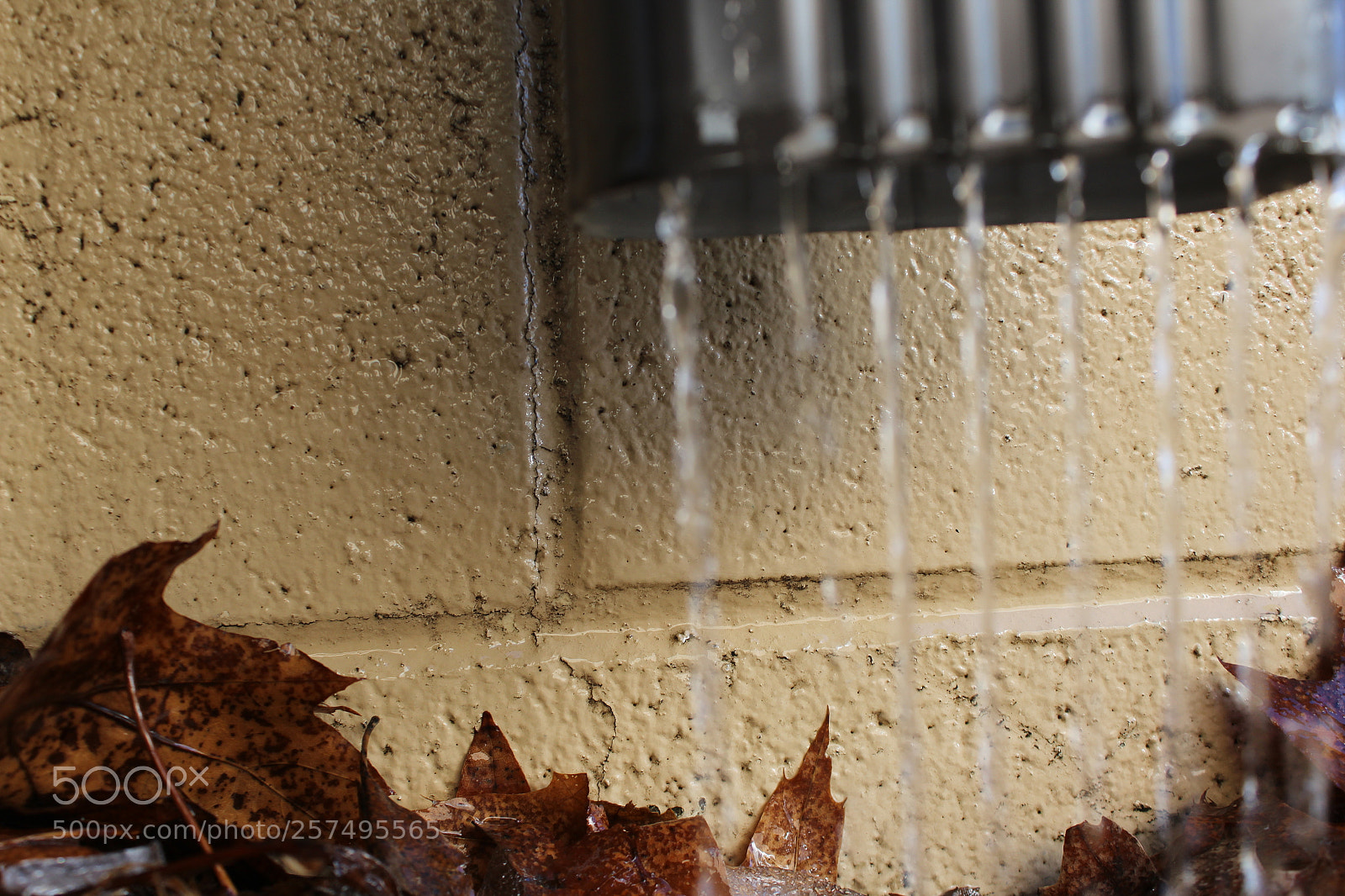 Canon EOS 1200D (EOS Rebel T5 / EOS Kiss X70 / EOS Hi) sample photo. Img photography