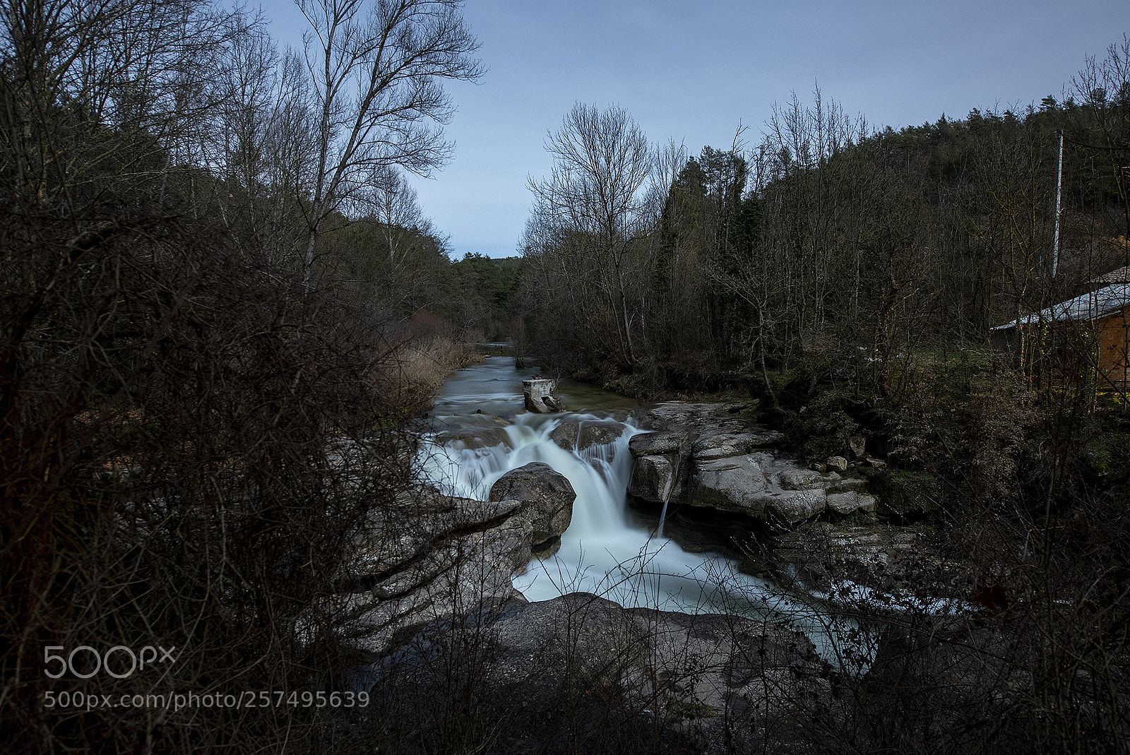 Nikon D610 sample photo. Abri ndose paso. opening photography