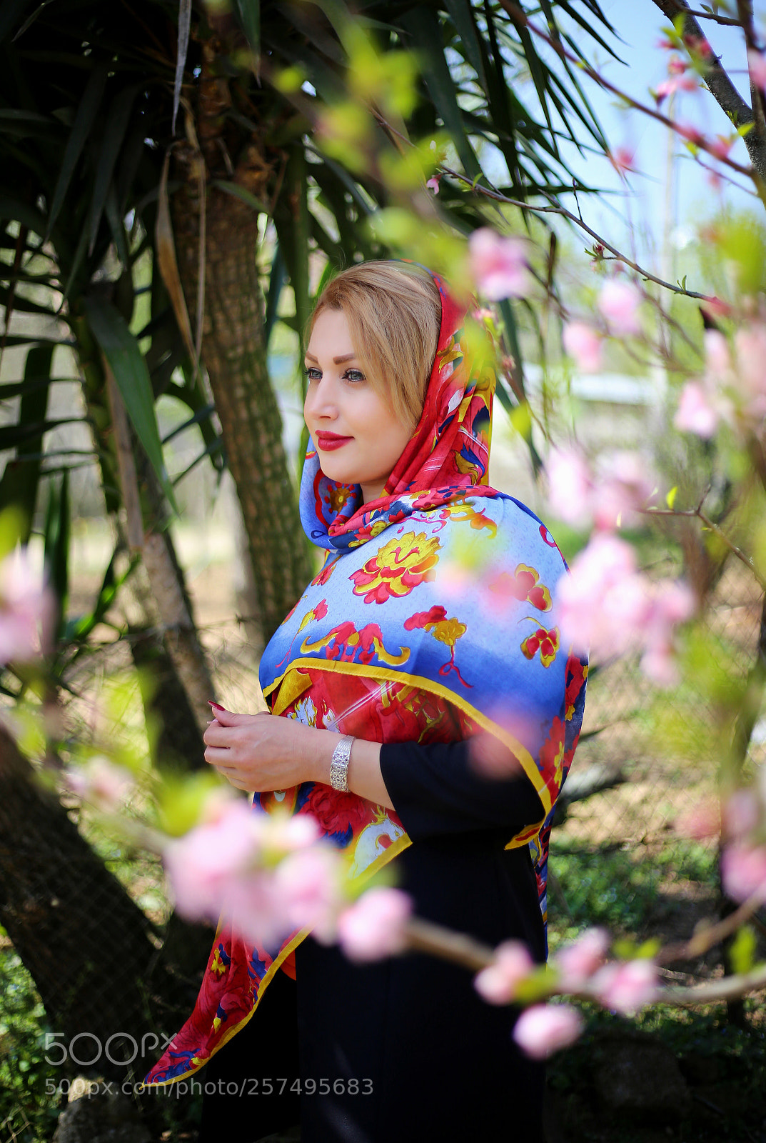 Canon EOS 6D sample photo. Untitled photography