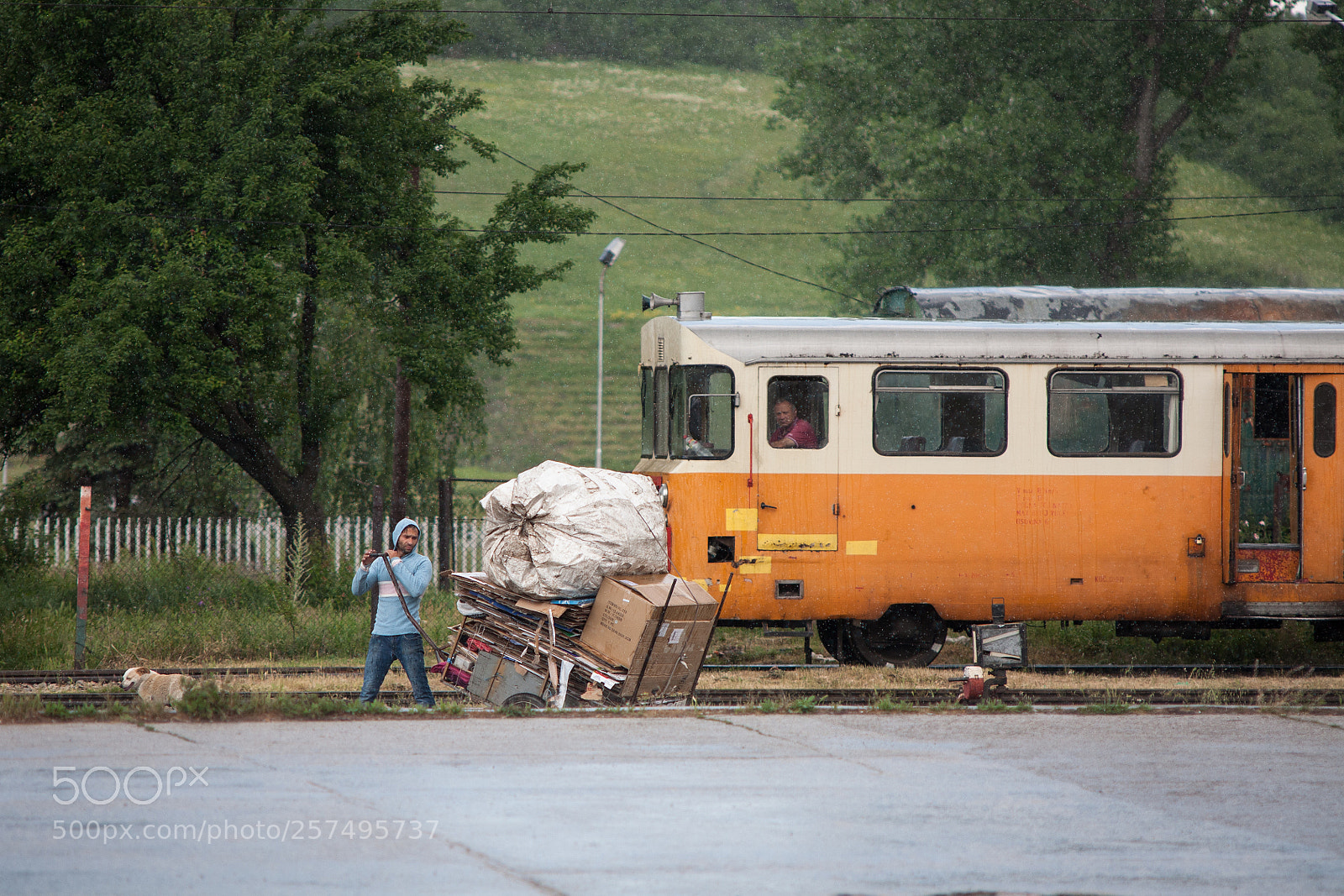 Canon EOS 5D sample photo. Rain day photography