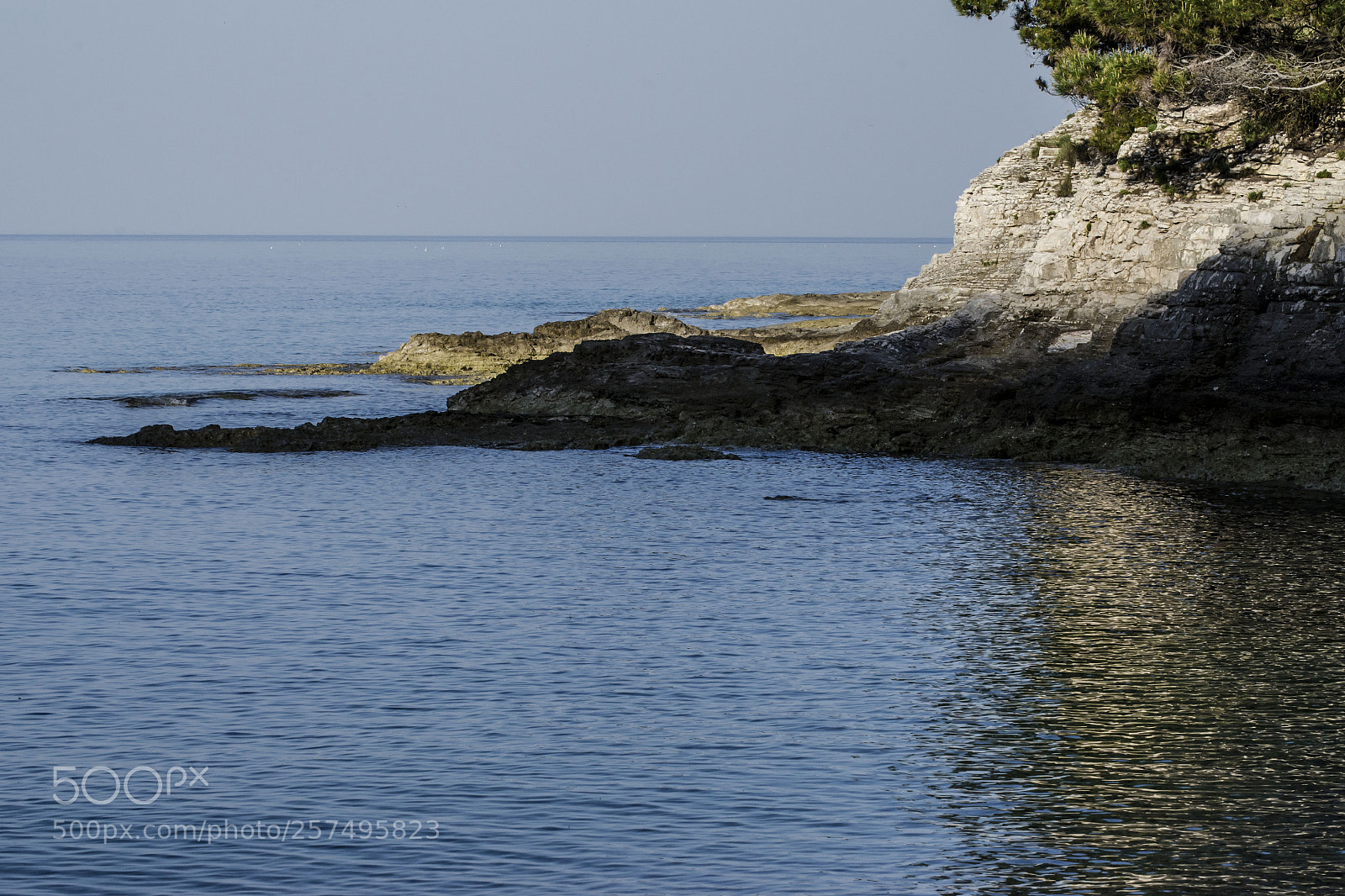 Nikon D7000 sample photo. Out of season photography