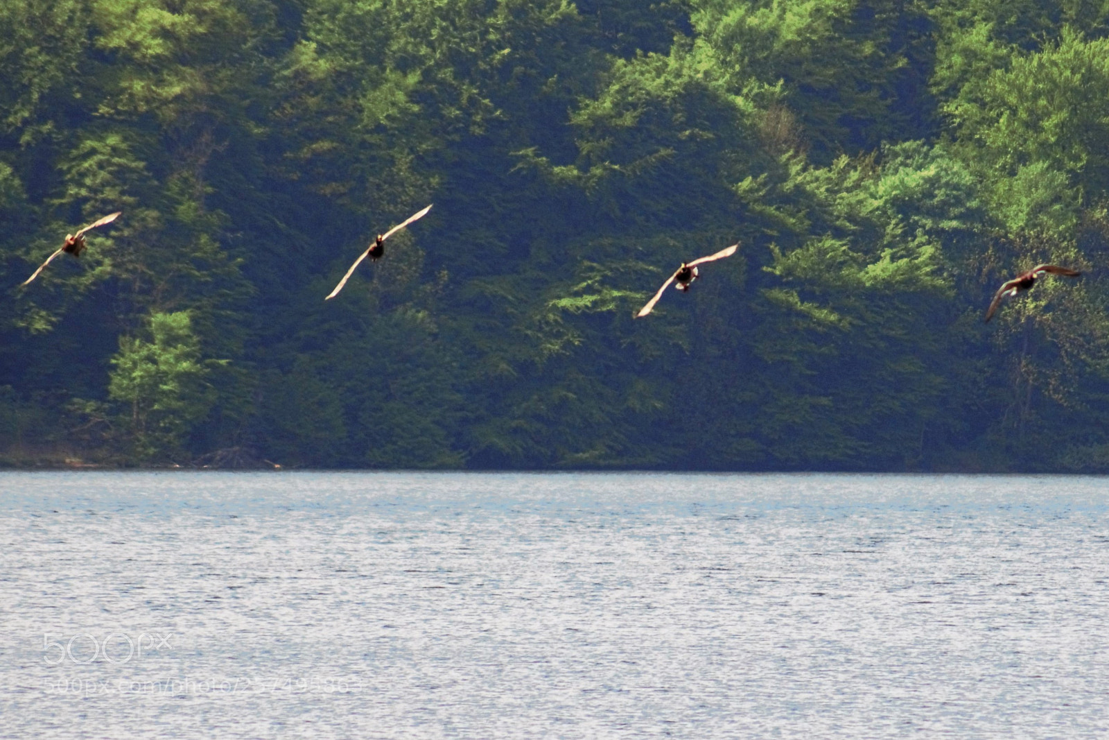 Canon EOS 100D (EOS Rebel SL1 / EOS Kiss X7) sample photo. An air wing attacks photography