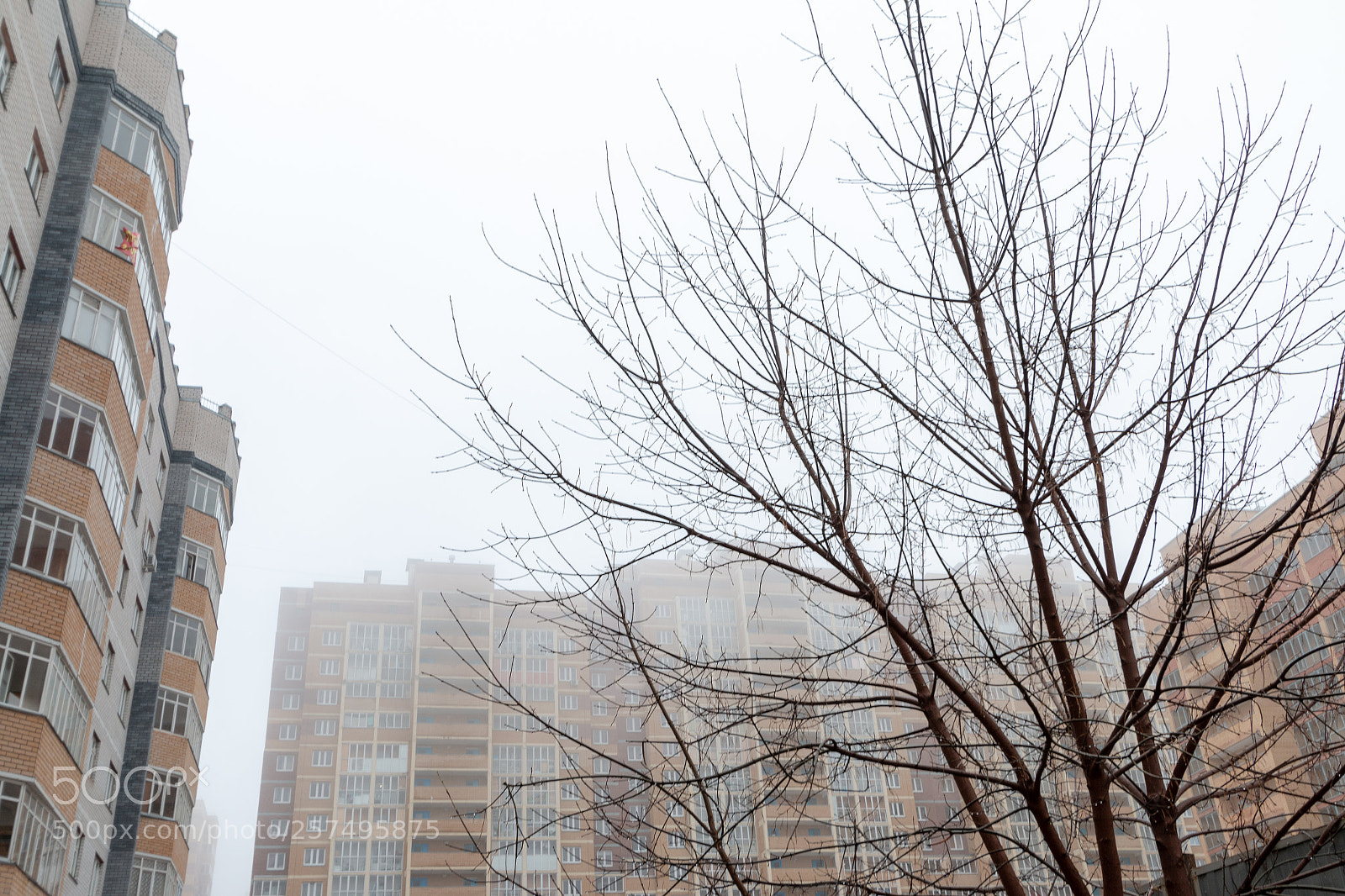 Canon EOS 70D sample photo. Fog and the city photography
