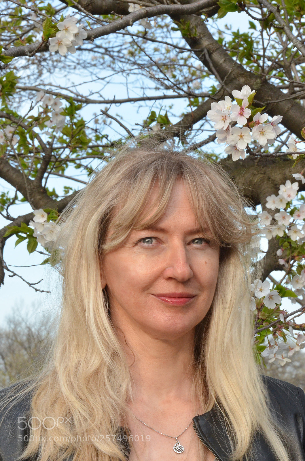 Nikon D5100 sample photo. Blossom photography