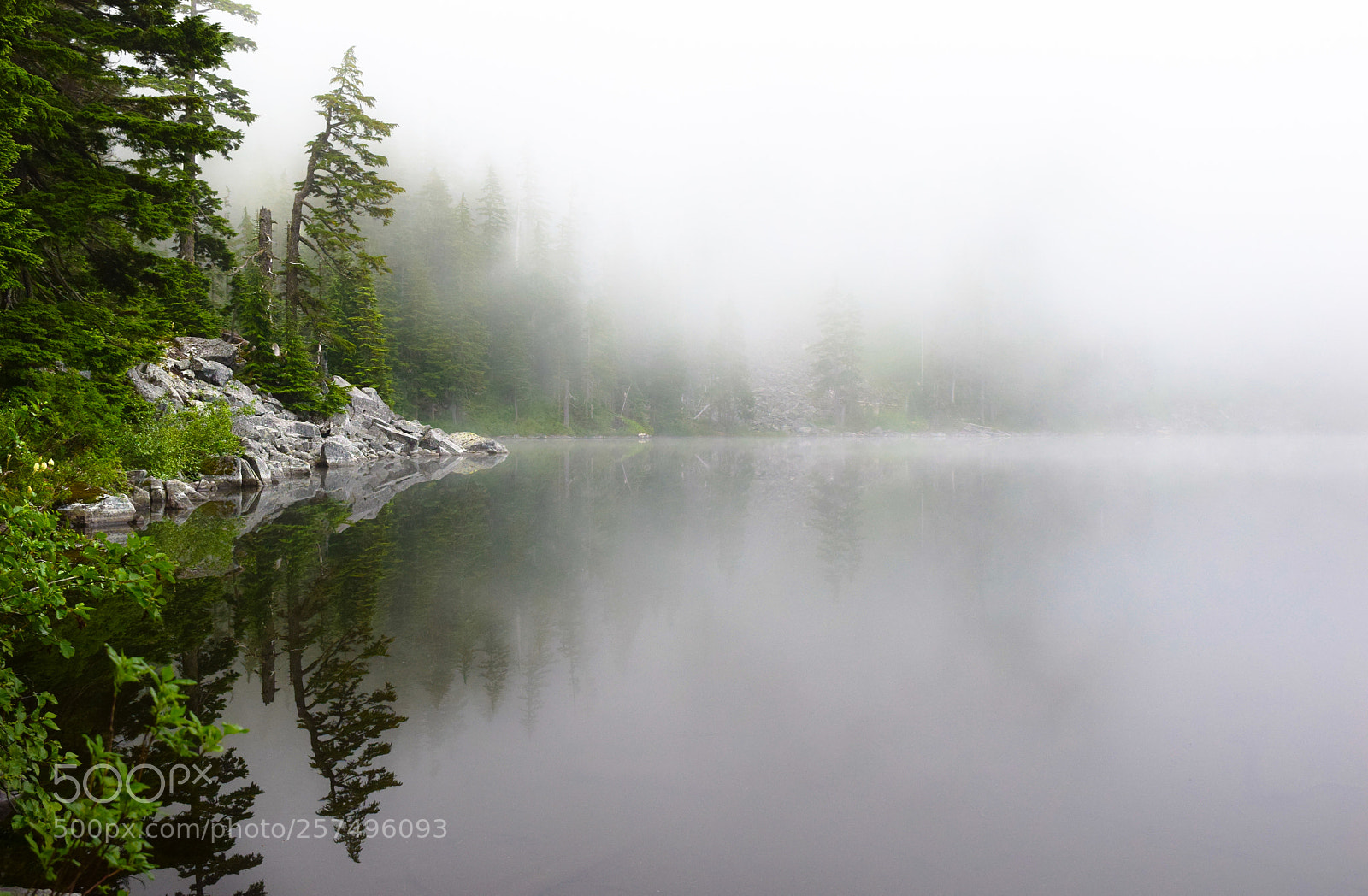 Nikon D5300 sample photo. Misty lake photography