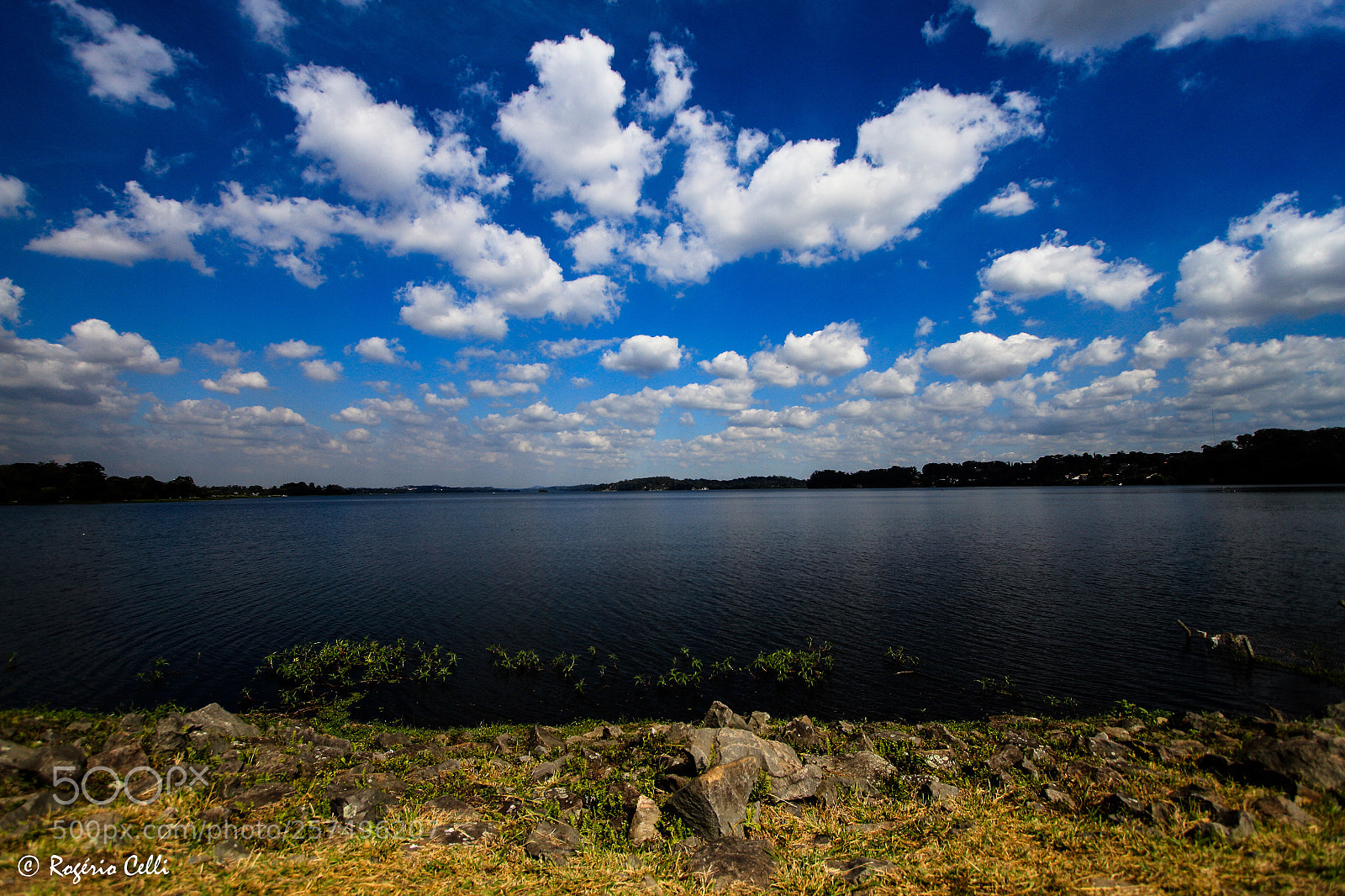 Canon EOS 7D sample photo. Nature vibes photography