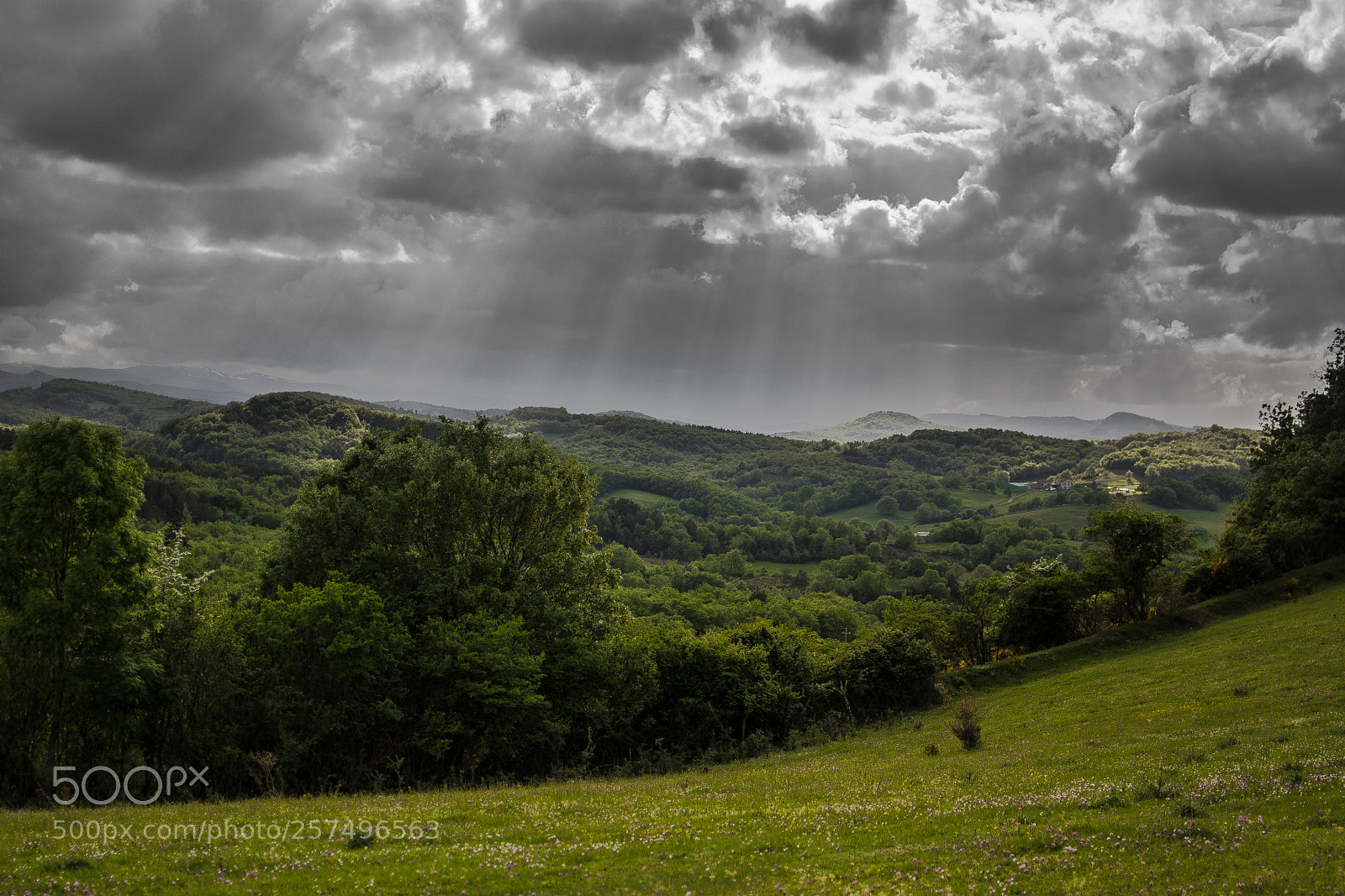 Nikon D5200 sample photo. Clouds on countryside photography