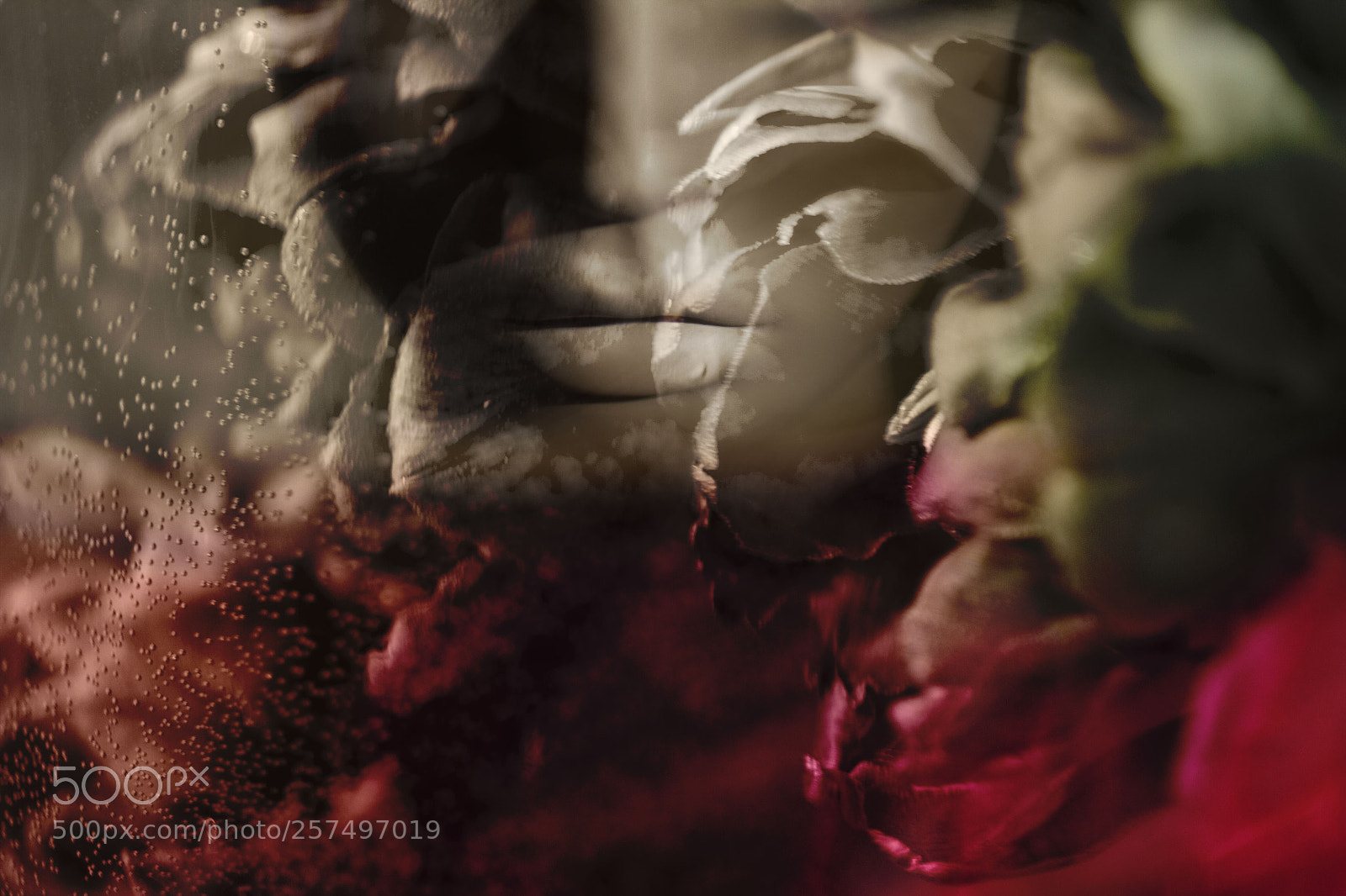 Canon EOS 7D sample photo. 14.jpg photography