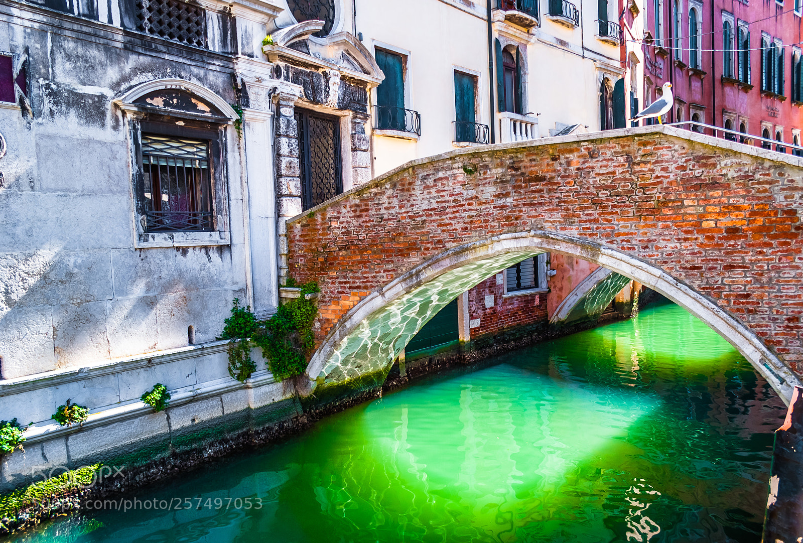 Sony Alpha DSLR-A200 sample photo. Venetian bridge photography