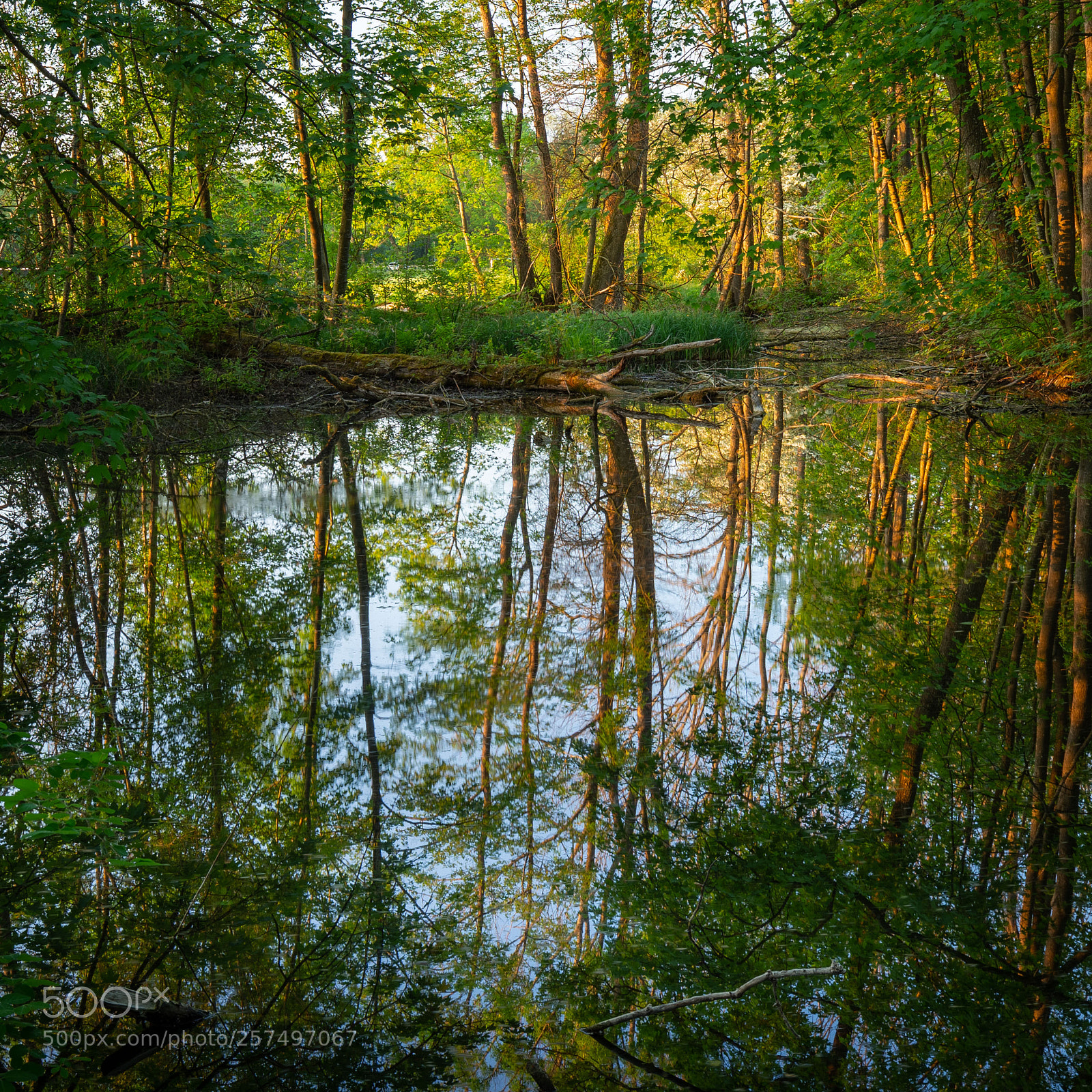 Canon EOS 6D sample photo. Pool in golden hour photography