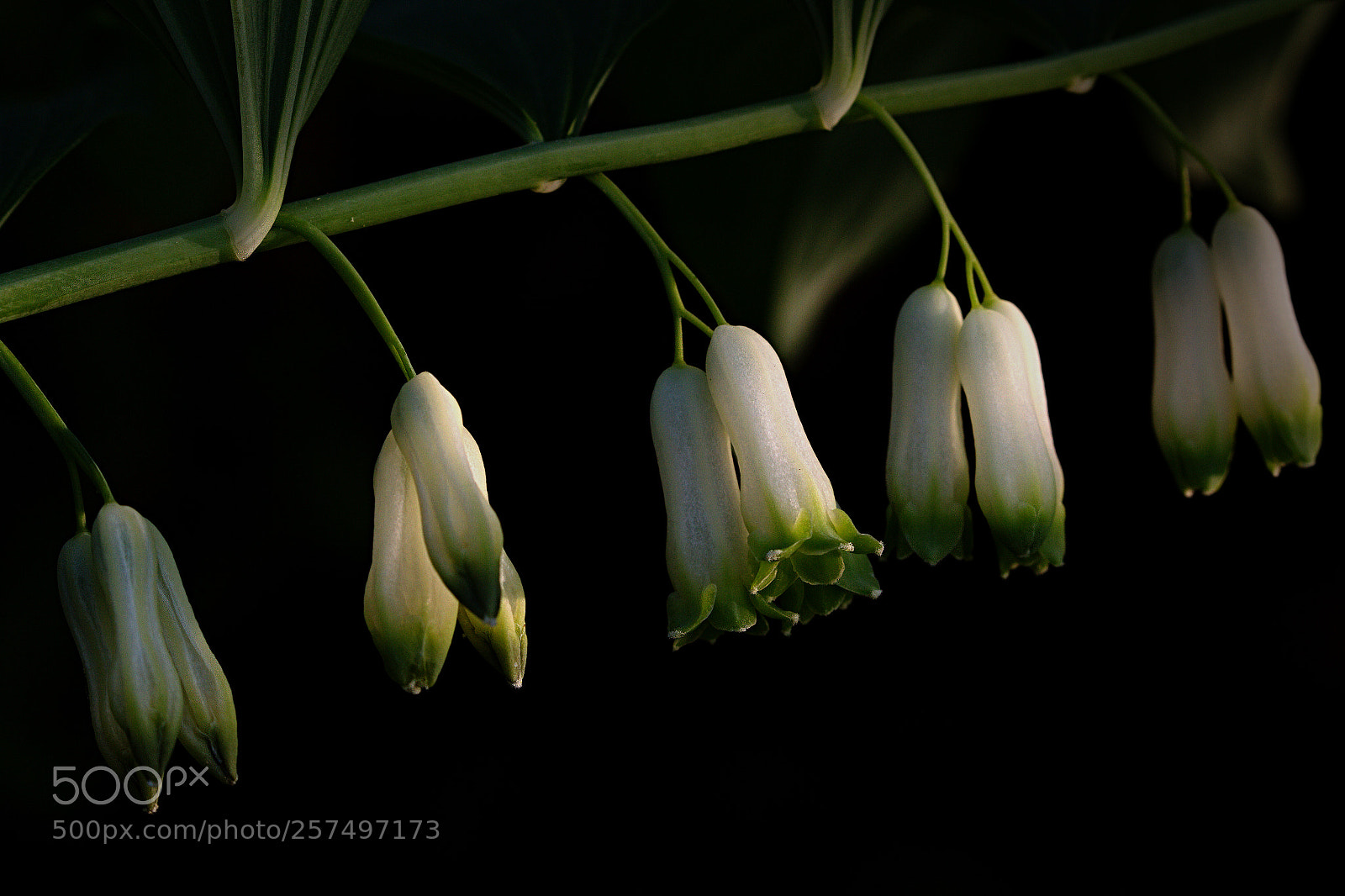 Canon EOS 7D sample photo. Time a photography