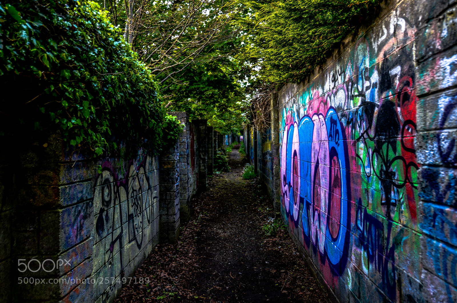 Nikon D3200 sample photo. Graffiti alley photography