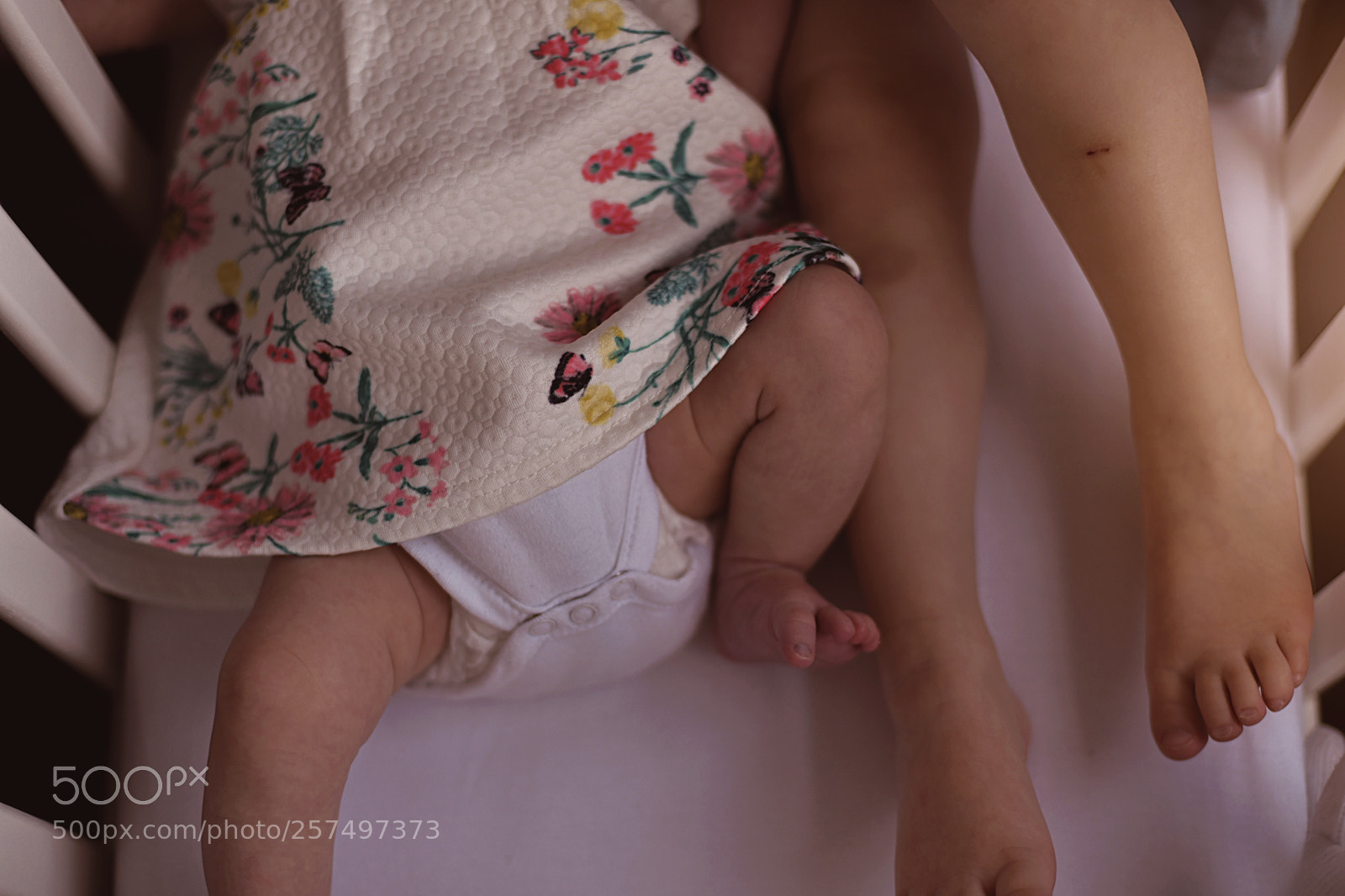 Nikon D850 sample photo. Knees photography