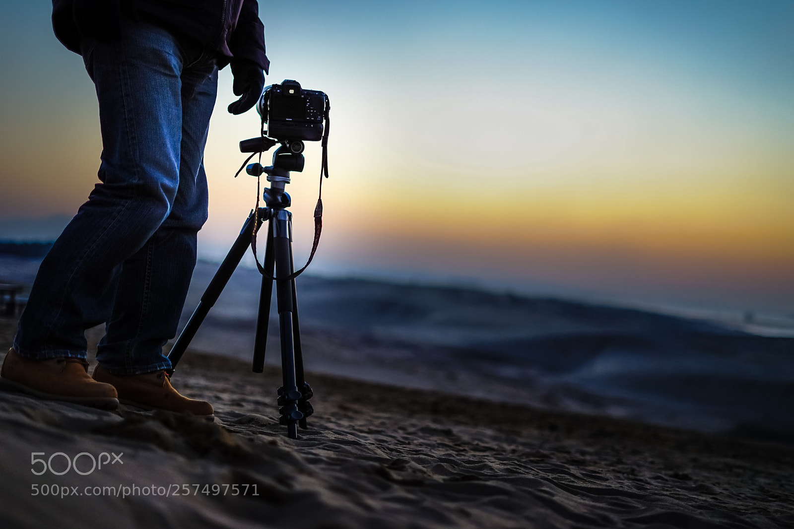Sony a7 II sample photo. Silence photography