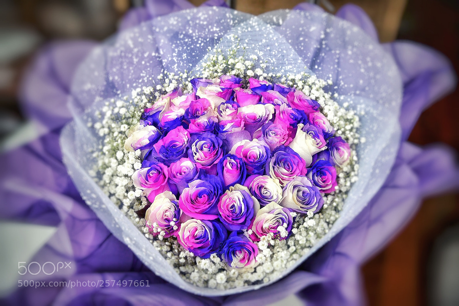 Nikon D750 sample photo. Valentine photography