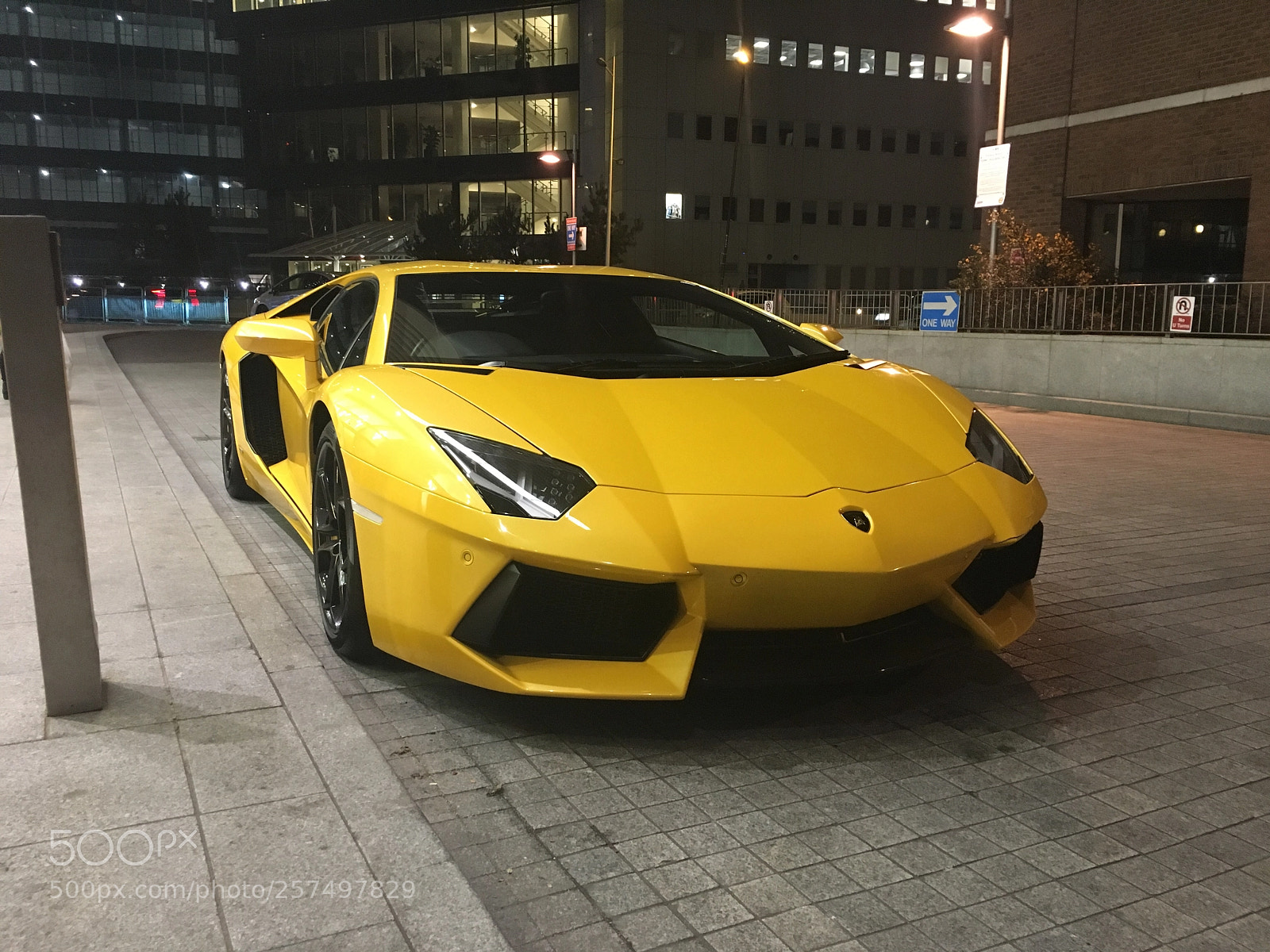 Apple iPhone 6s sample photo. Untitled photography