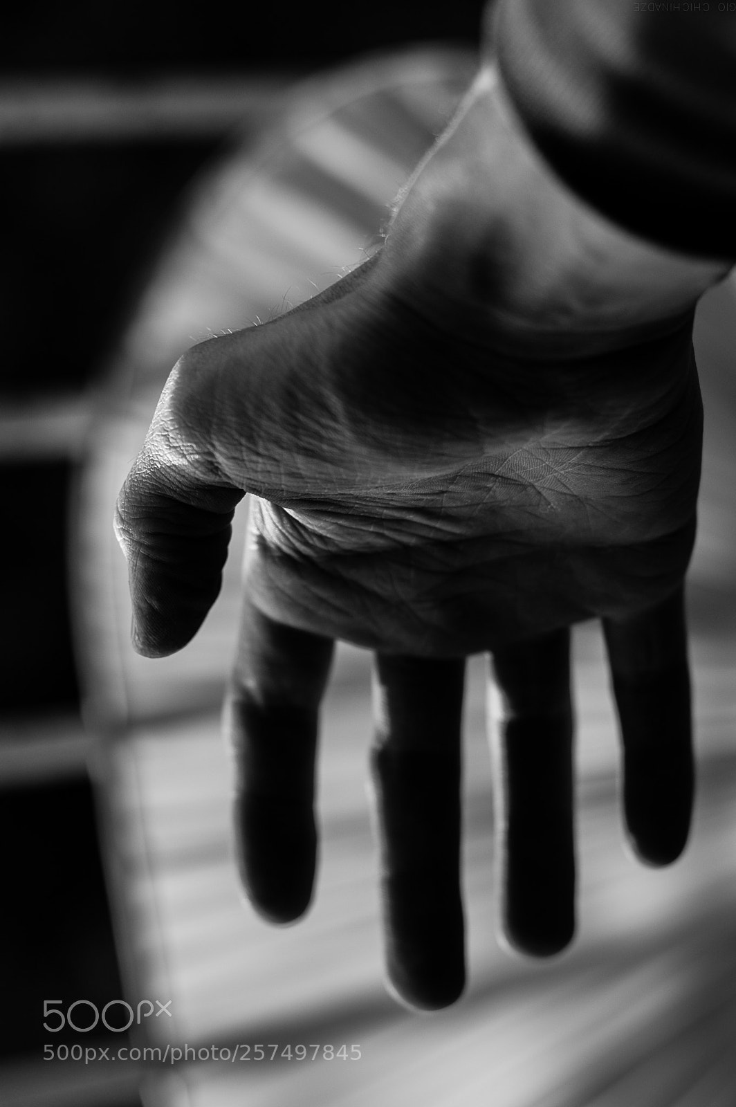 Nikon D50 sample photo. Untitled photography