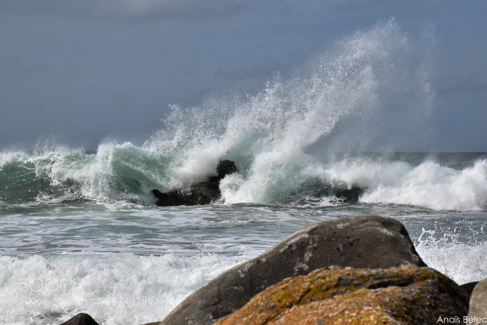 Nikon D5500 sample photo. Untitled photography