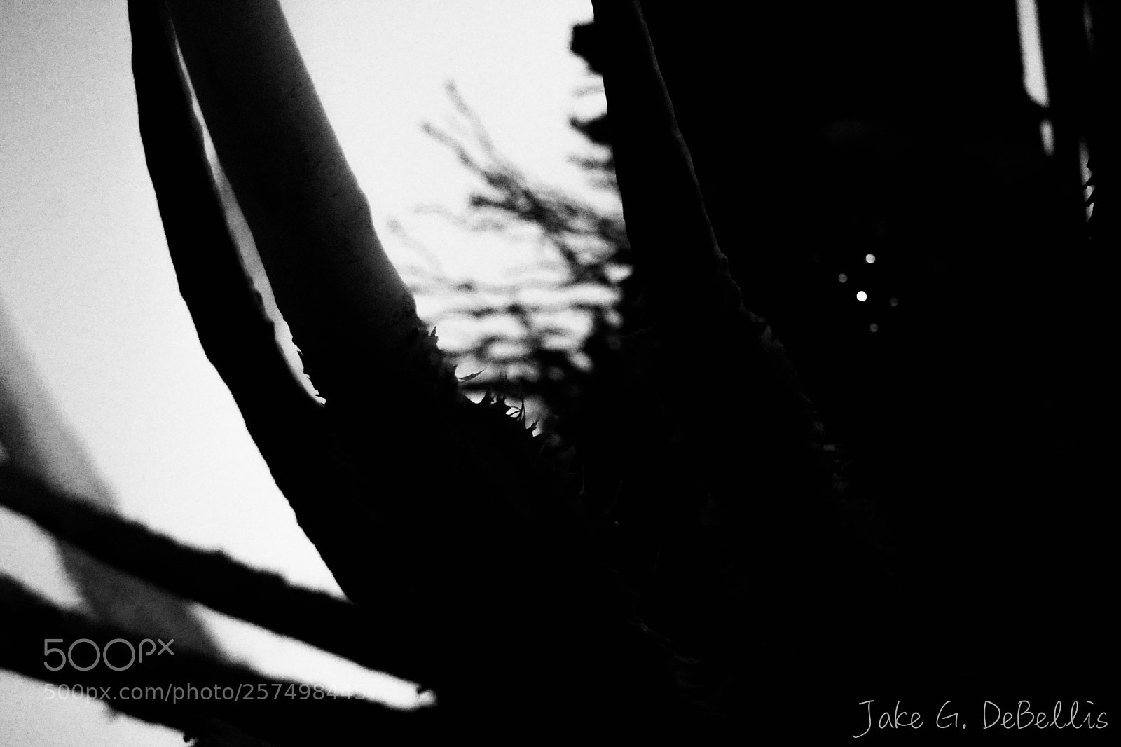 Sony a6300 sample photo. Dsc00303-2.jpg photography