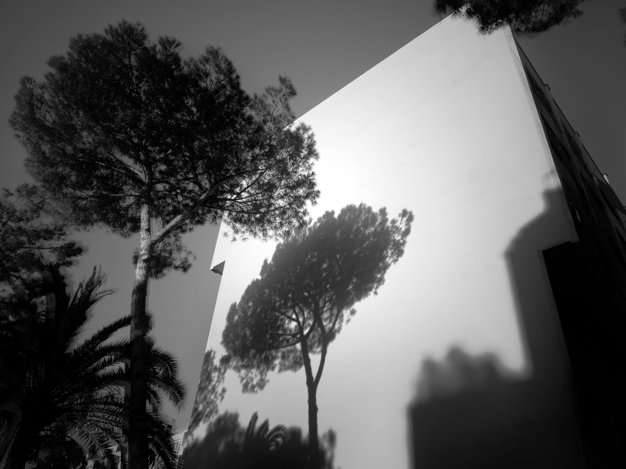Canon PowerShot G10 sample photo. Ombre cinesi photography