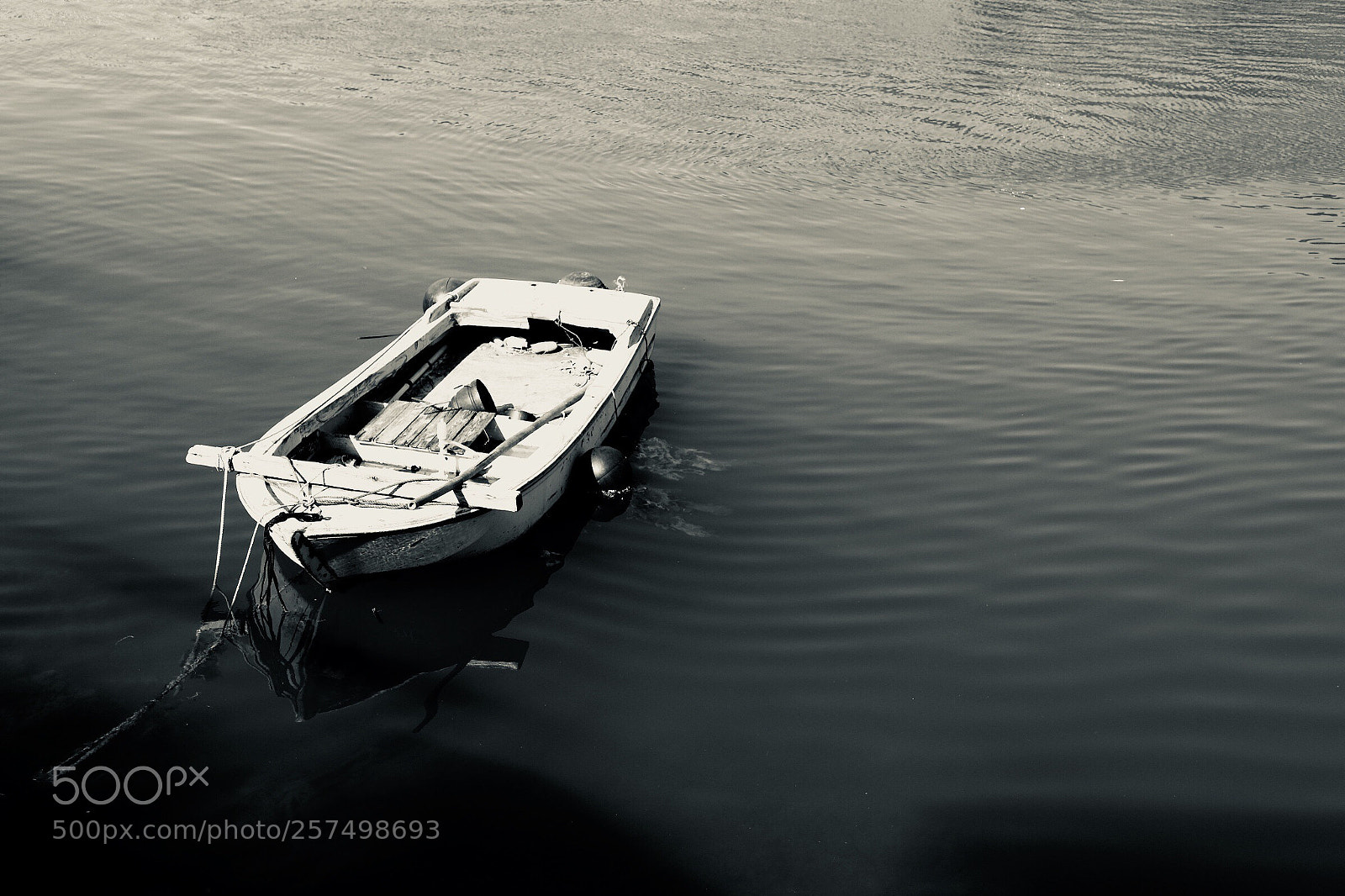 Canon EOS 6D Mark II sample photo. Sea... photography