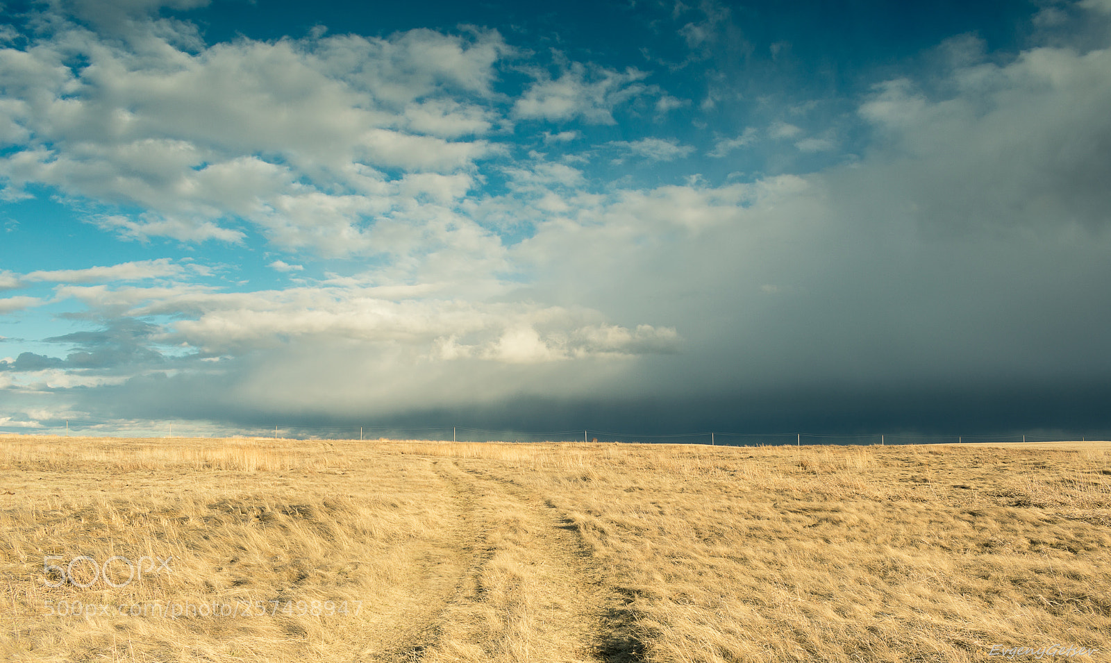 Nikon D3400 sample photo. Horizon field photography